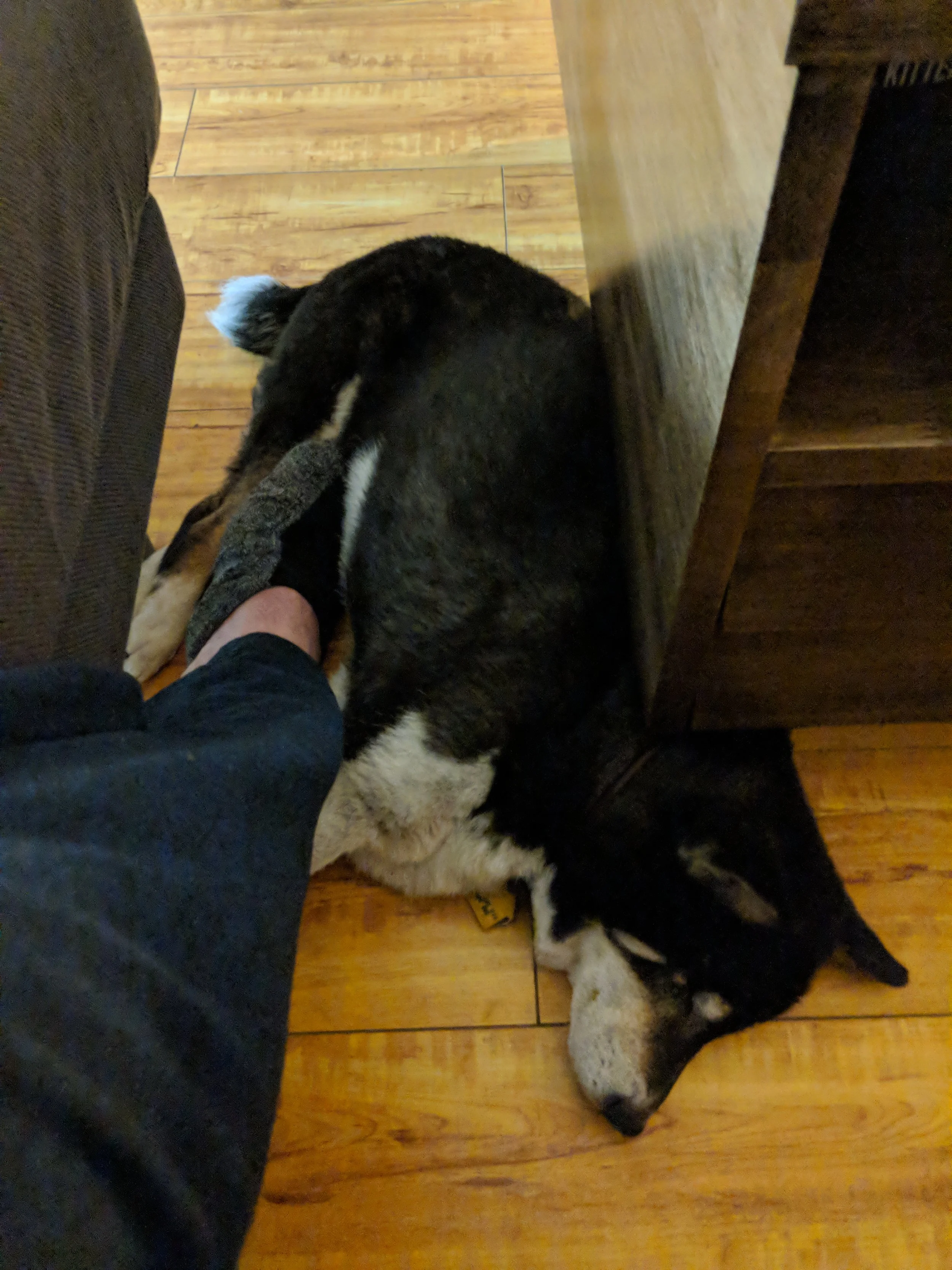 Nola Sleeping w: My Foot.jpg