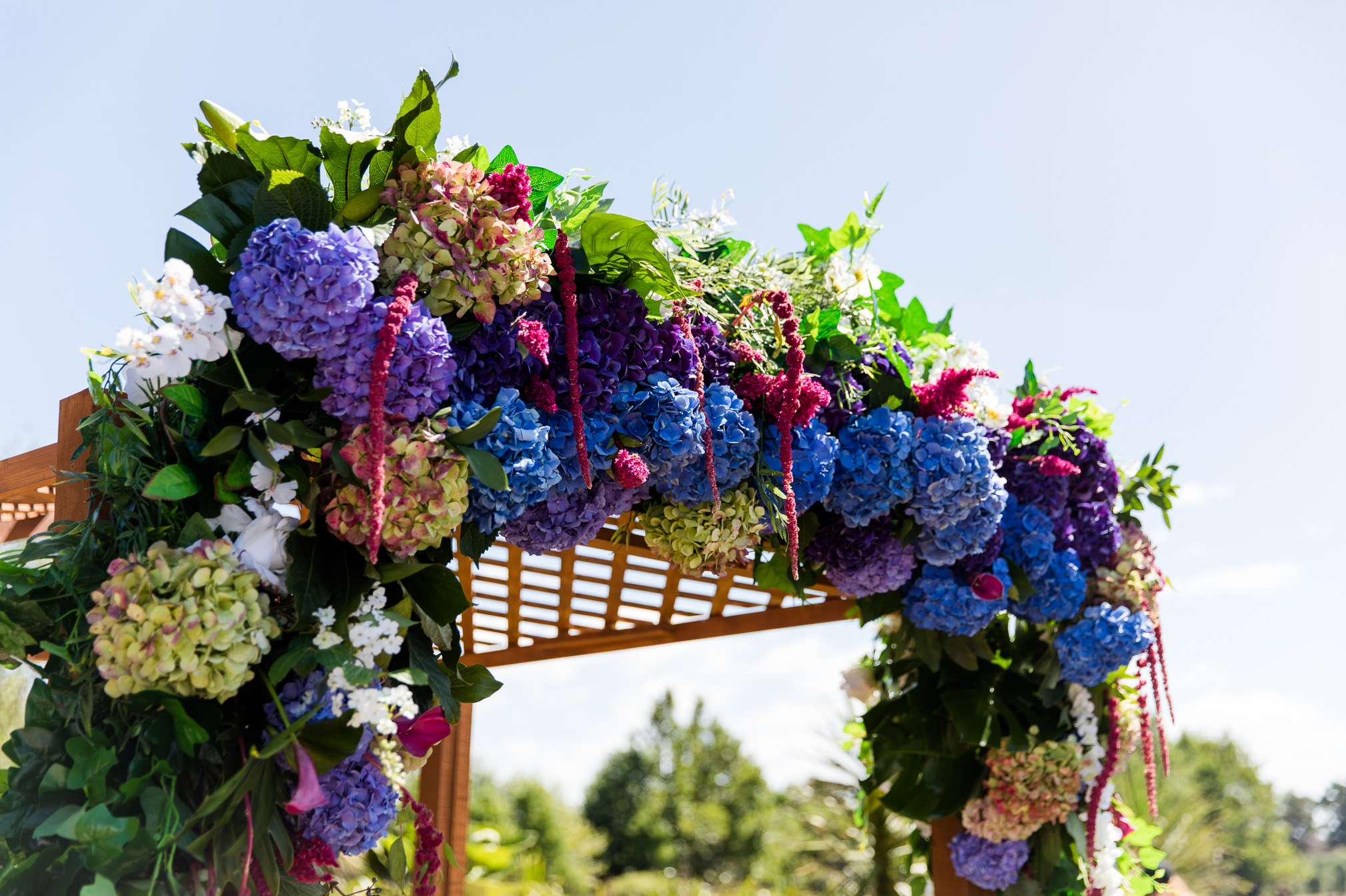 Bridget and Curtis 11.jpg