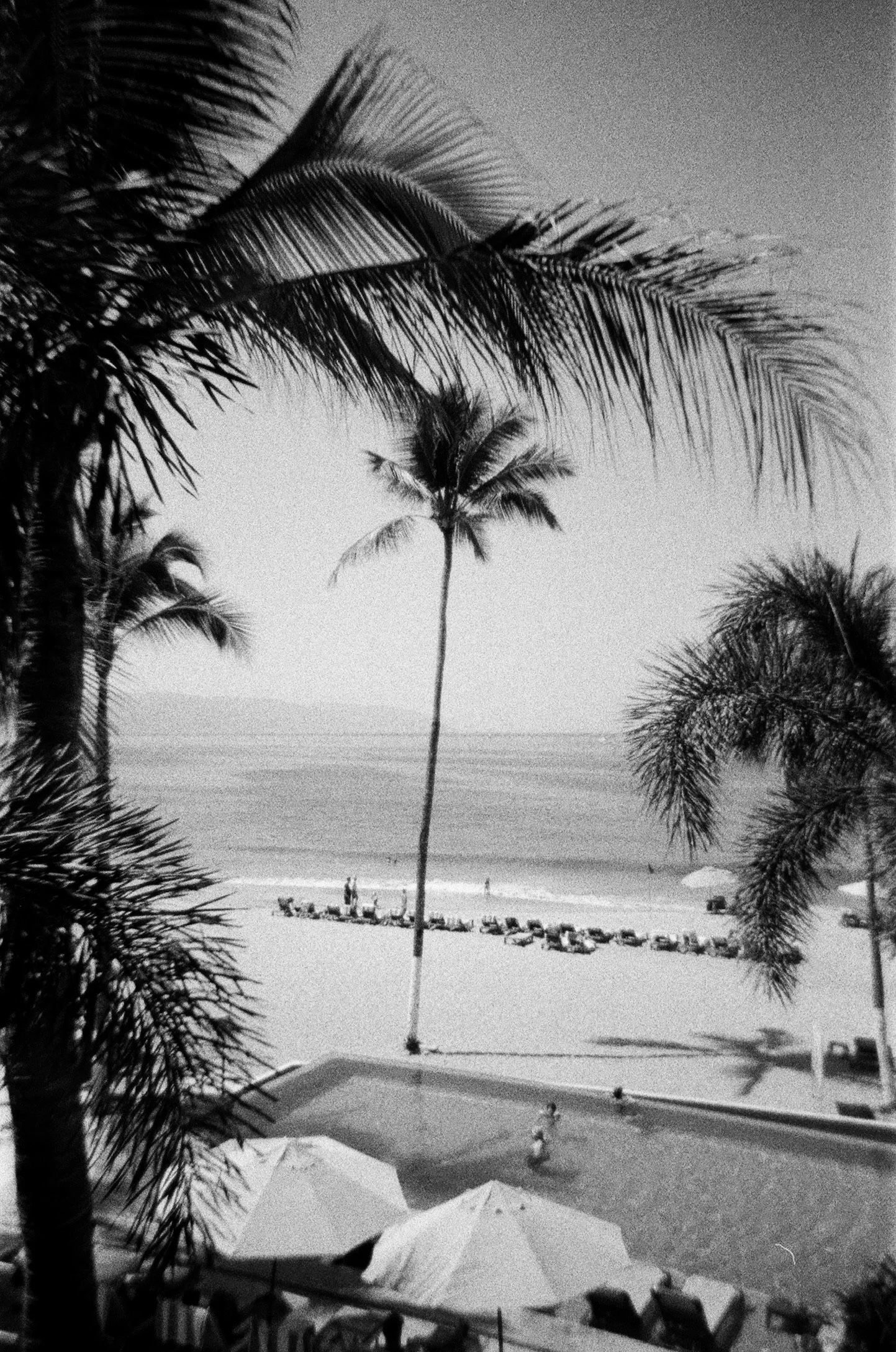 417040E3-7A52-40CA-A496-755D6F342C19_1_102_o.jpeg