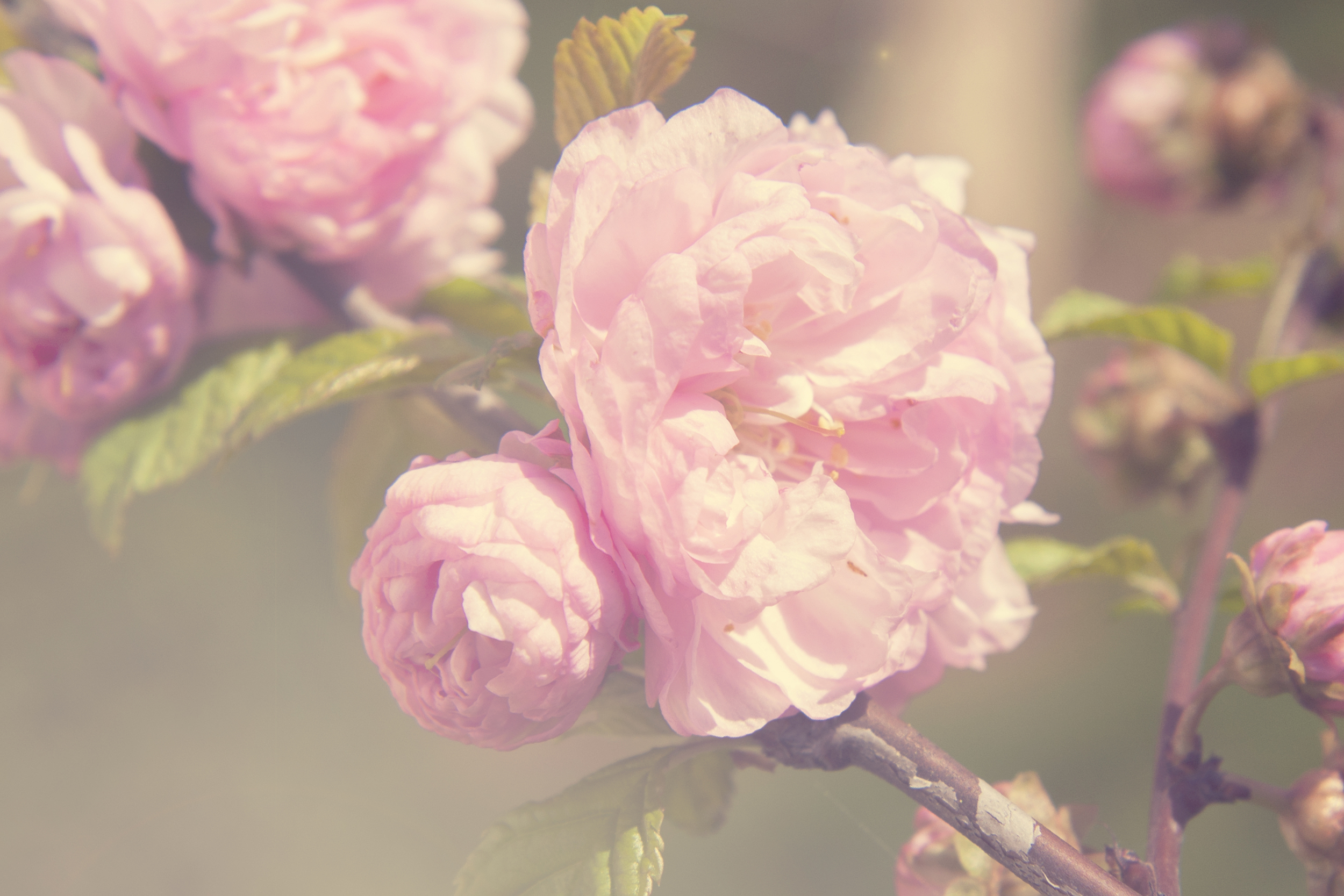 iStock_91777315_LARGE.jpg