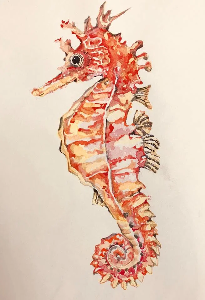 sea_horse.jpg