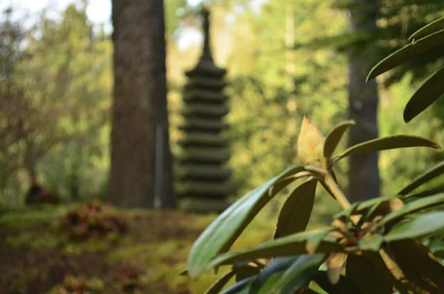 The mysterious pagoda