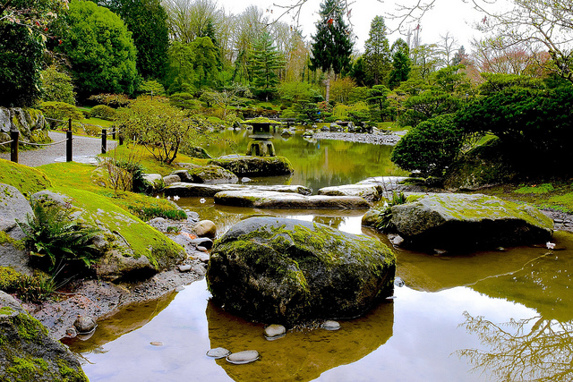 versus in the Japanese Garden: A Gardener's Perspective Seattle Garden