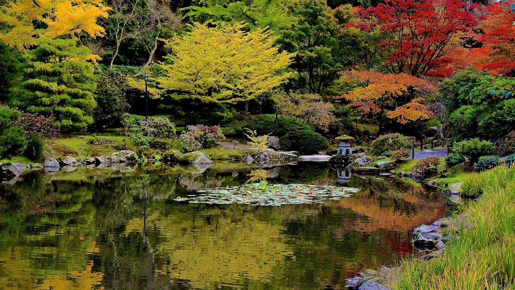 A cover-worthy image of autumn in our garden. Photo: Aurora Santiago.