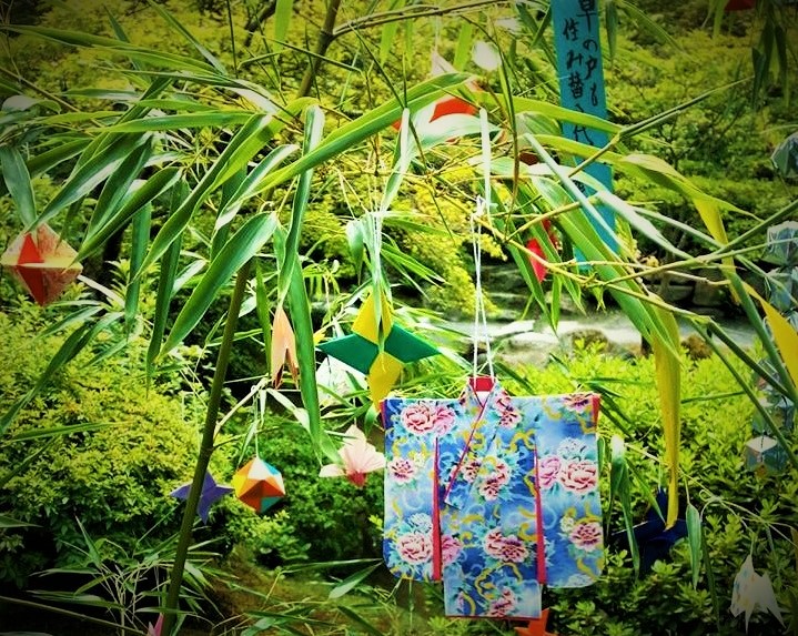 Photo courtesy of Rumi Tsuchihashi