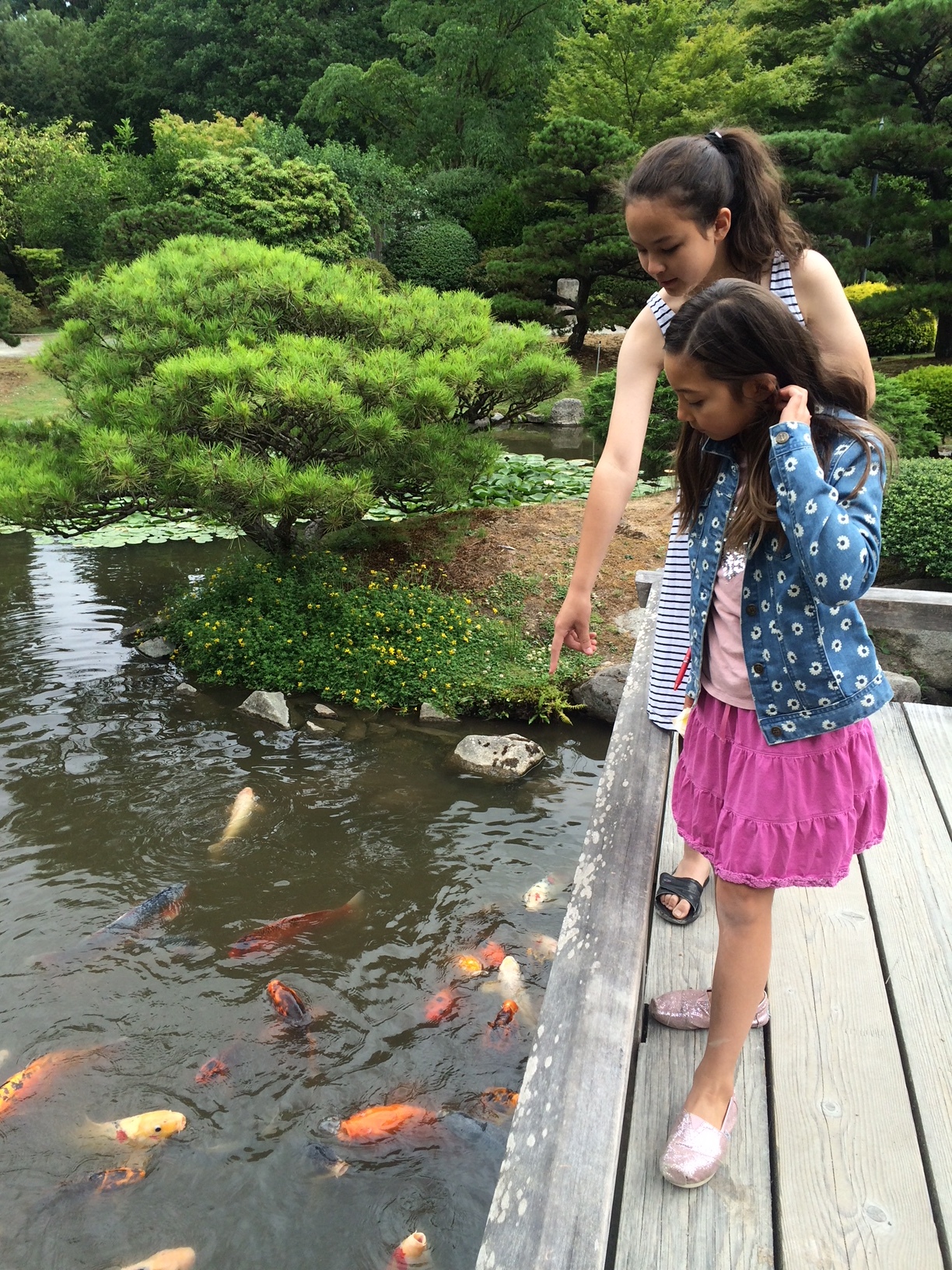 Kids Enter Free! Family Saturdays Programming for 2018