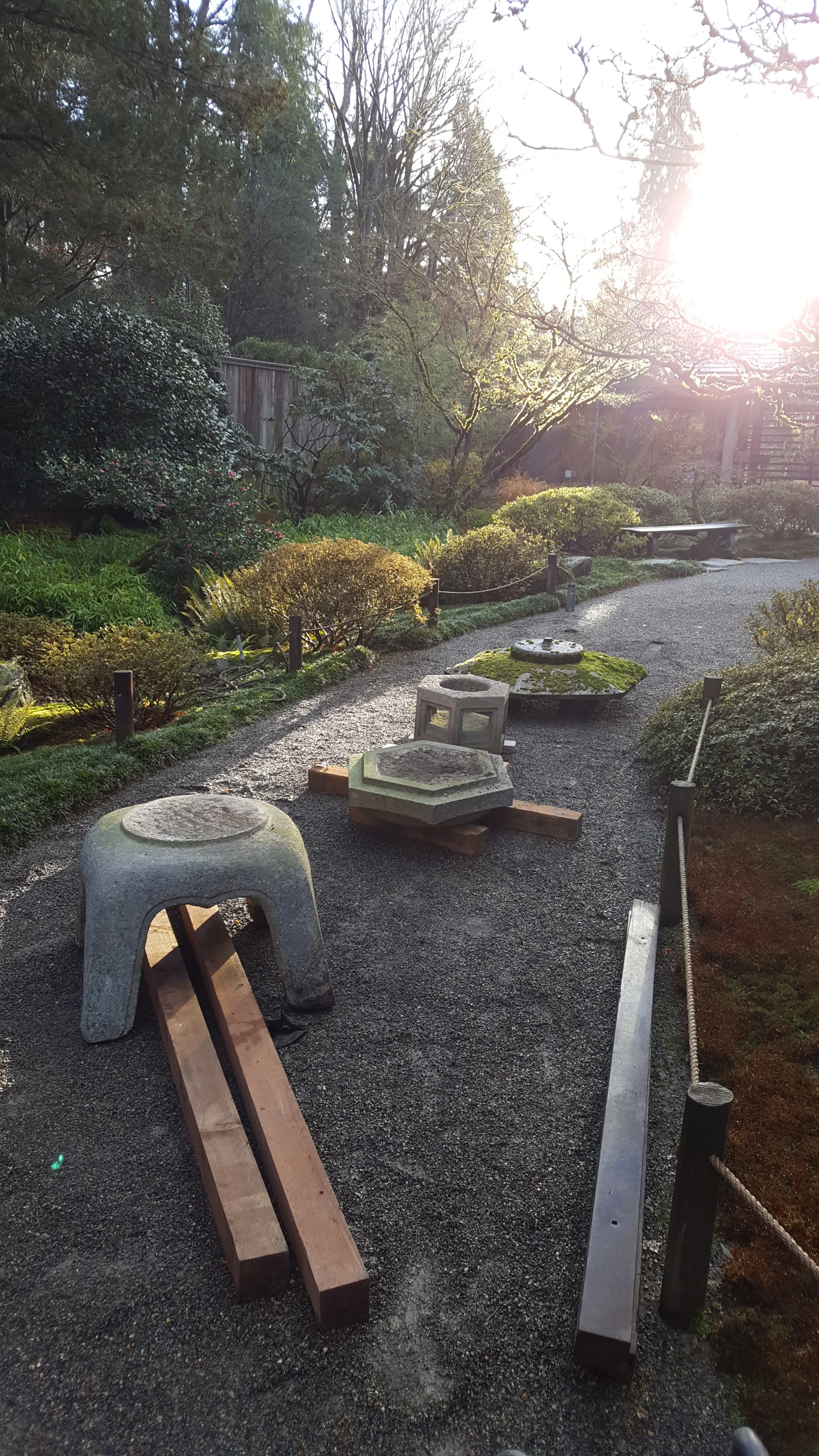 What's New? A Behind-The-Scenes Look at Projects in The Garden