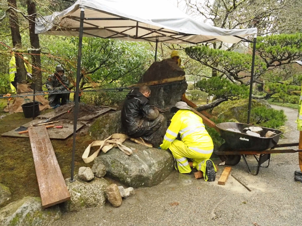  Senior Gardener Pete Putnicki (left) works with the landscape crew to keep the large stone from the danger of falling over. 