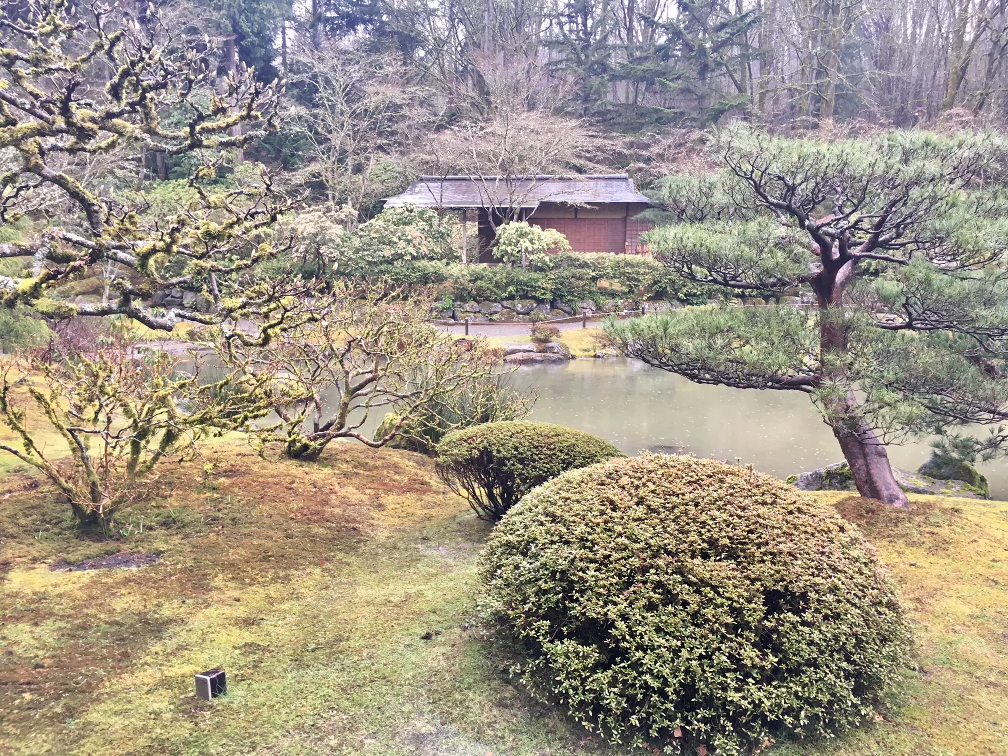 This Week: Discover the Beauty of Japanese Carpentry in the Garden 