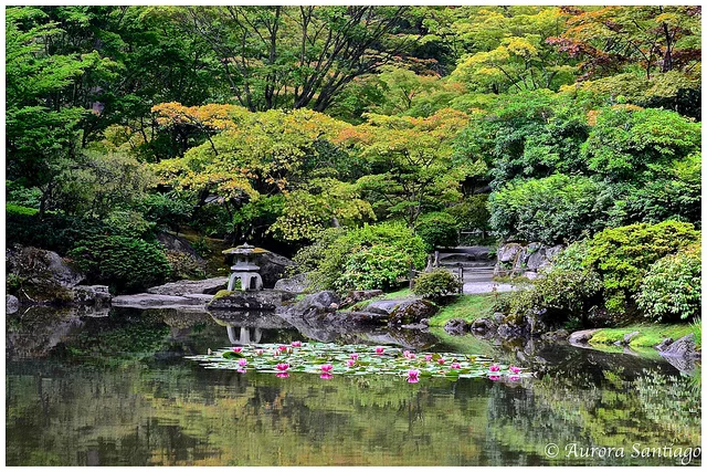 The sound of music changes how you perceive the garden. Hear the Jazz trio led by Marco de Carvalho on July 12 , and discover how your eye sees the garden with painting-like detail.