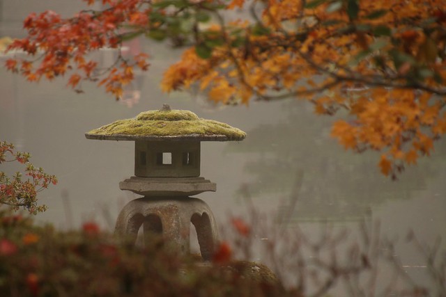 Photography Member Contest Winners