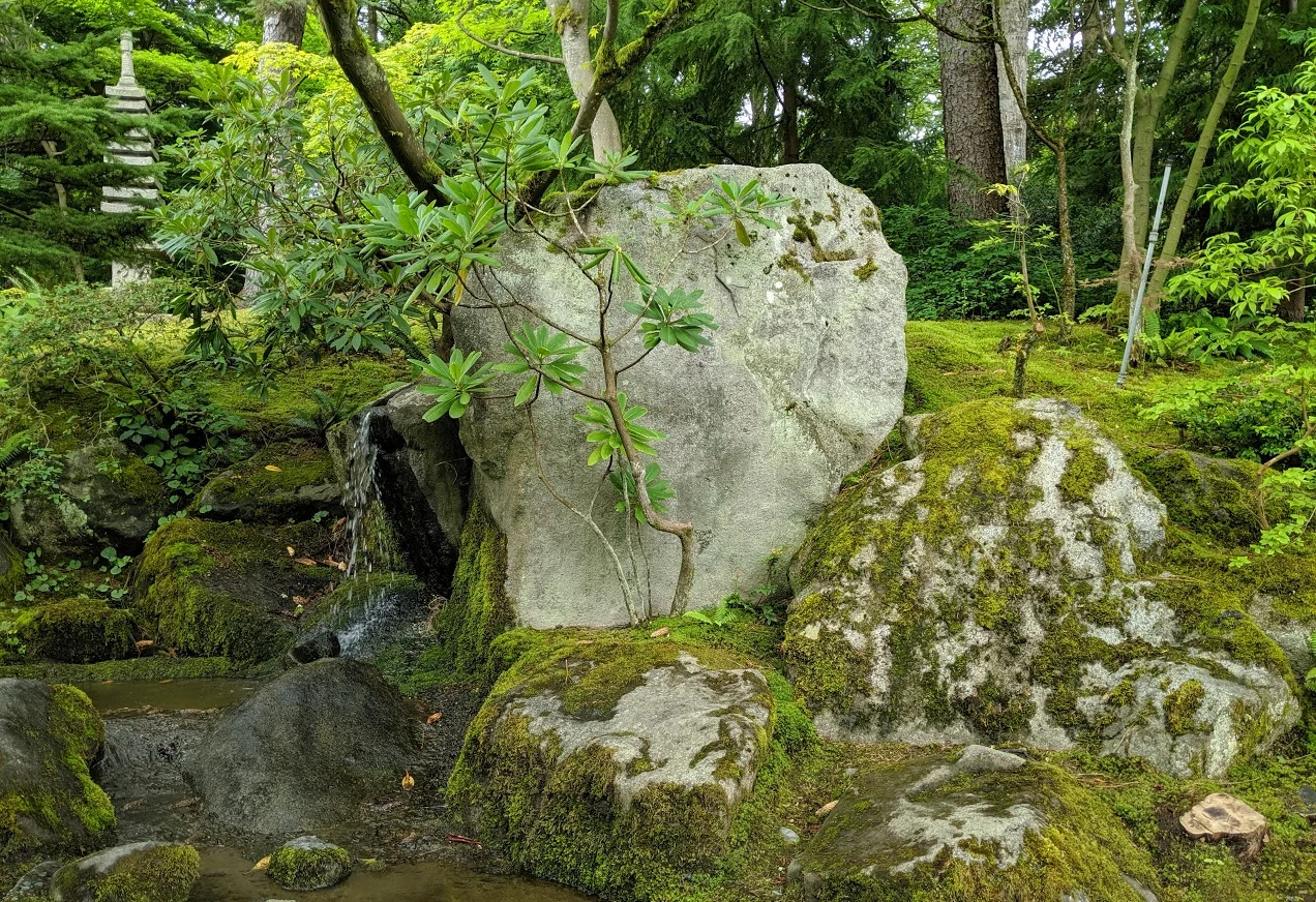 The Power of Stone in the Seattle Japanese Garden