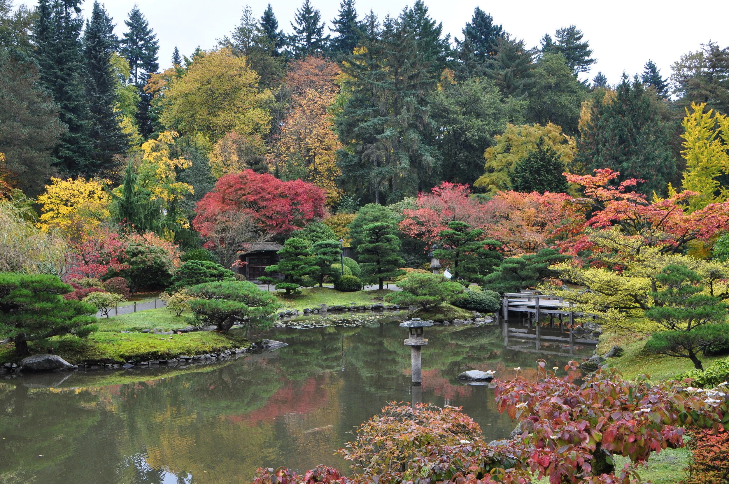 The Seattle Japanese Garden is a stroll garden, with a central pond and a gravel path that winds around it. (photo: 2011, Creative Commons Attribution-Share Alike 2.0 Generic license)