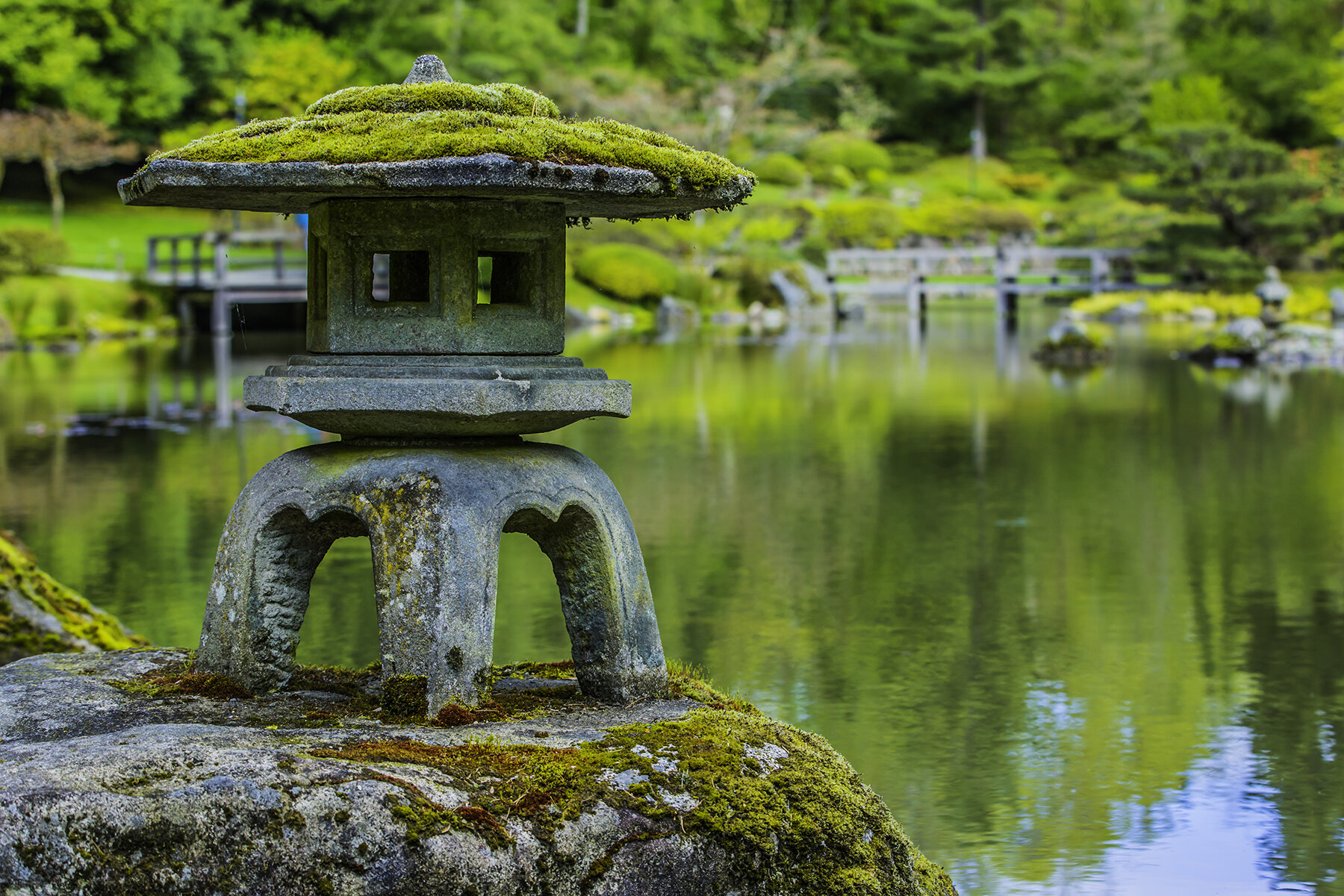 One of the garden’s stone lanterns, covered in moss. (photo: David Rosen/SlickPix Photography)