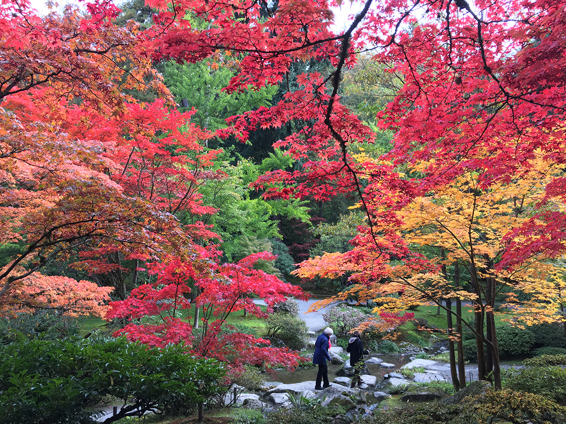 Maple Festival 2019 | TUE OCT 8