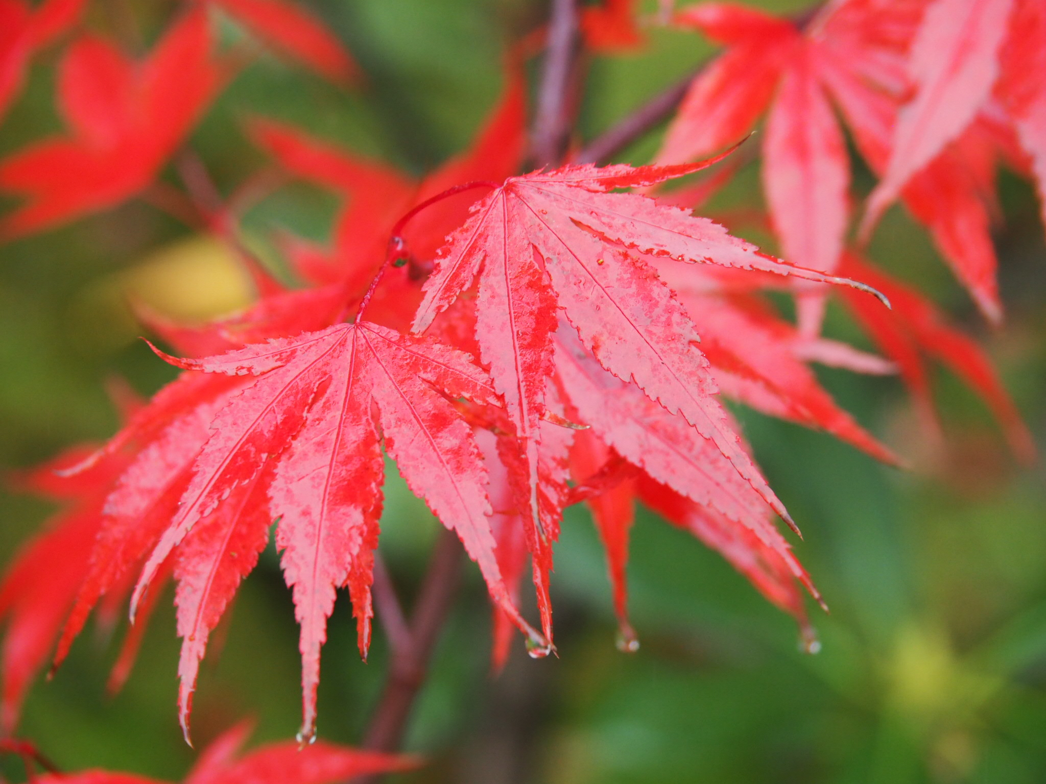 The Essential Reading List for 2019