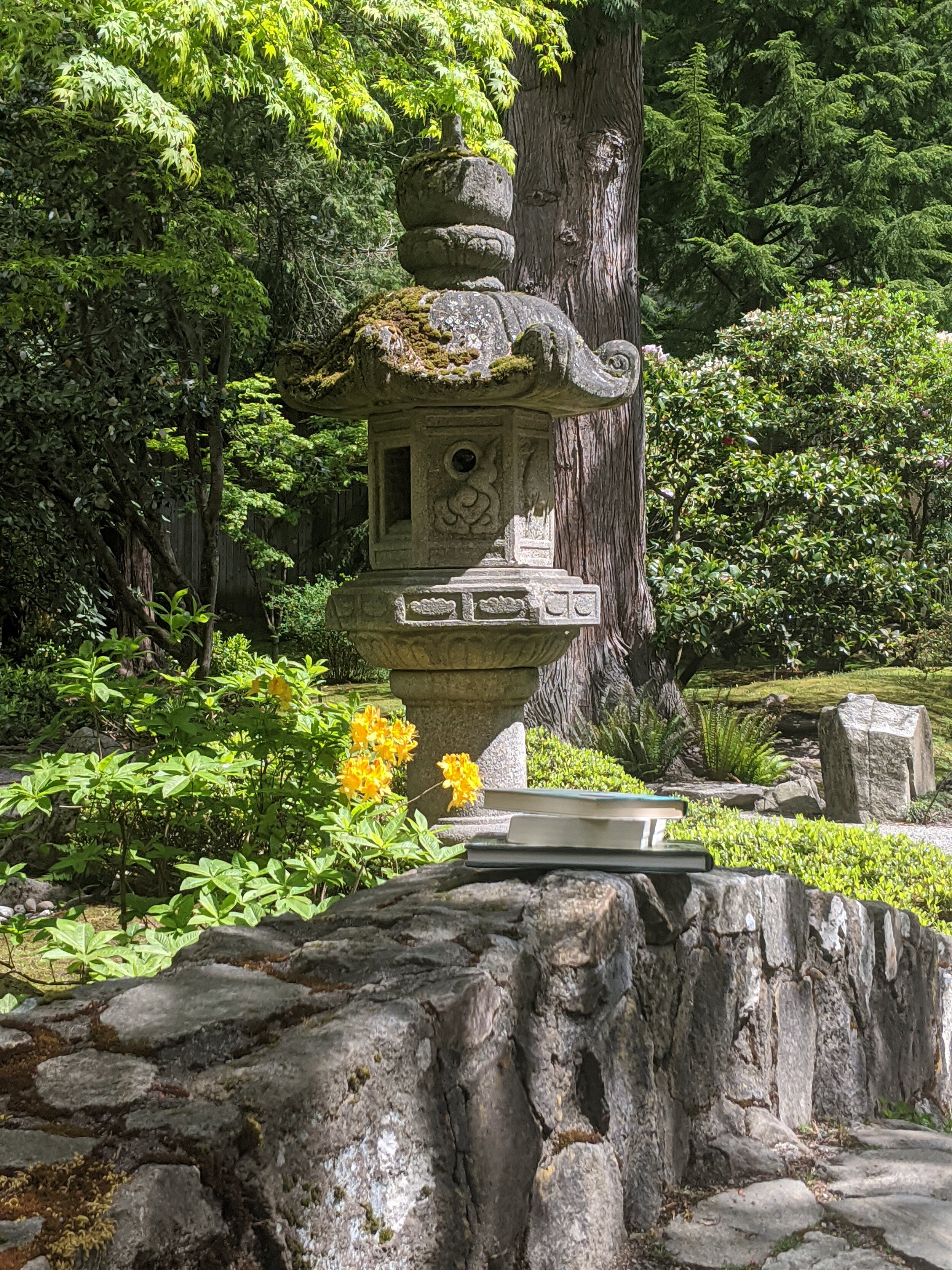 Get Caught Reading With Our Virtual Garden Book Club Seattle Japanese Garden