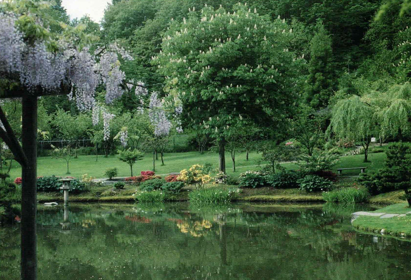 A Rich History Seattle Japanese Garden