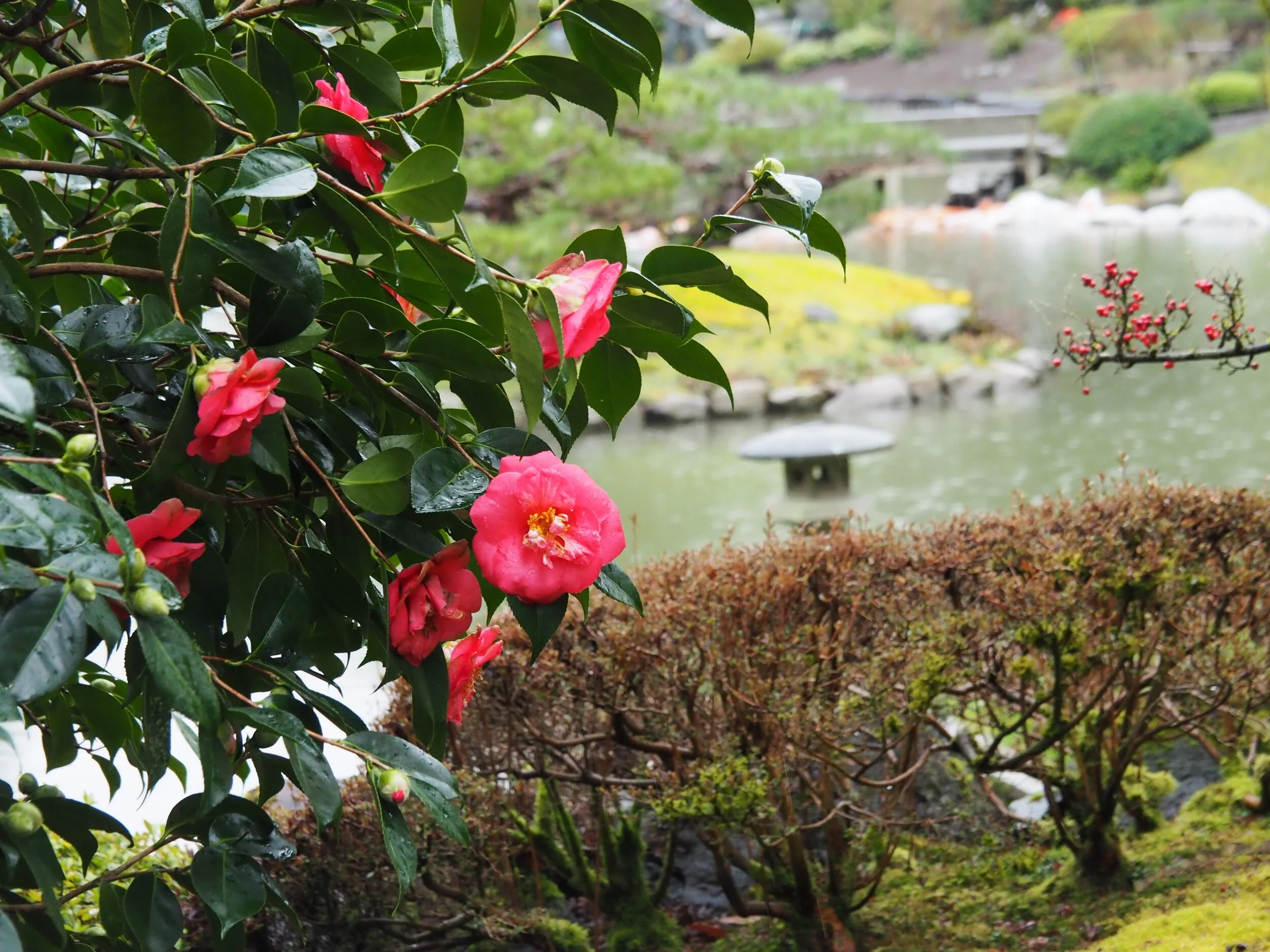 Seattle Japanese Garden Statement on Anti-Asian Violence