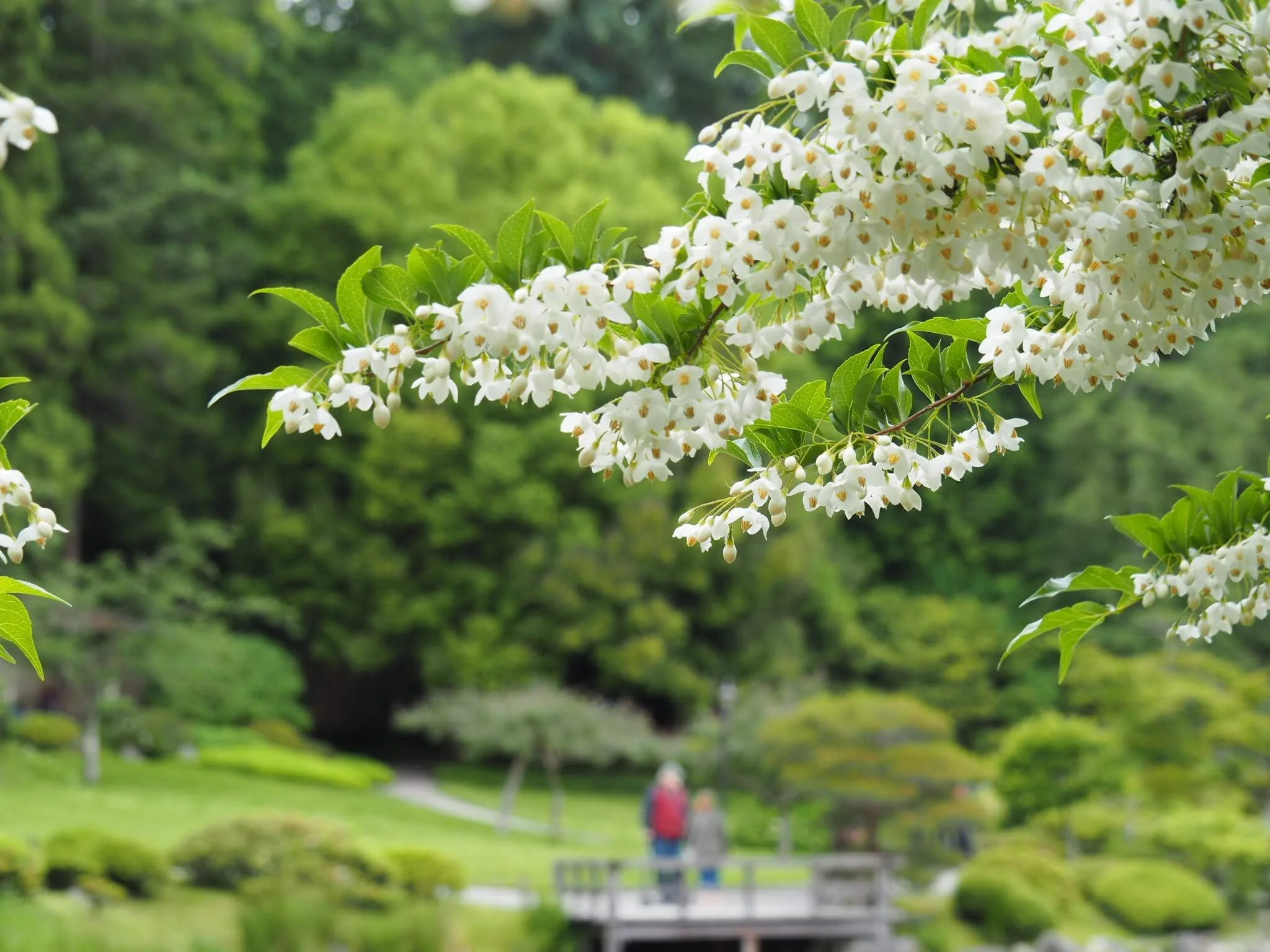 Message from the Garden Staff on Earth Day