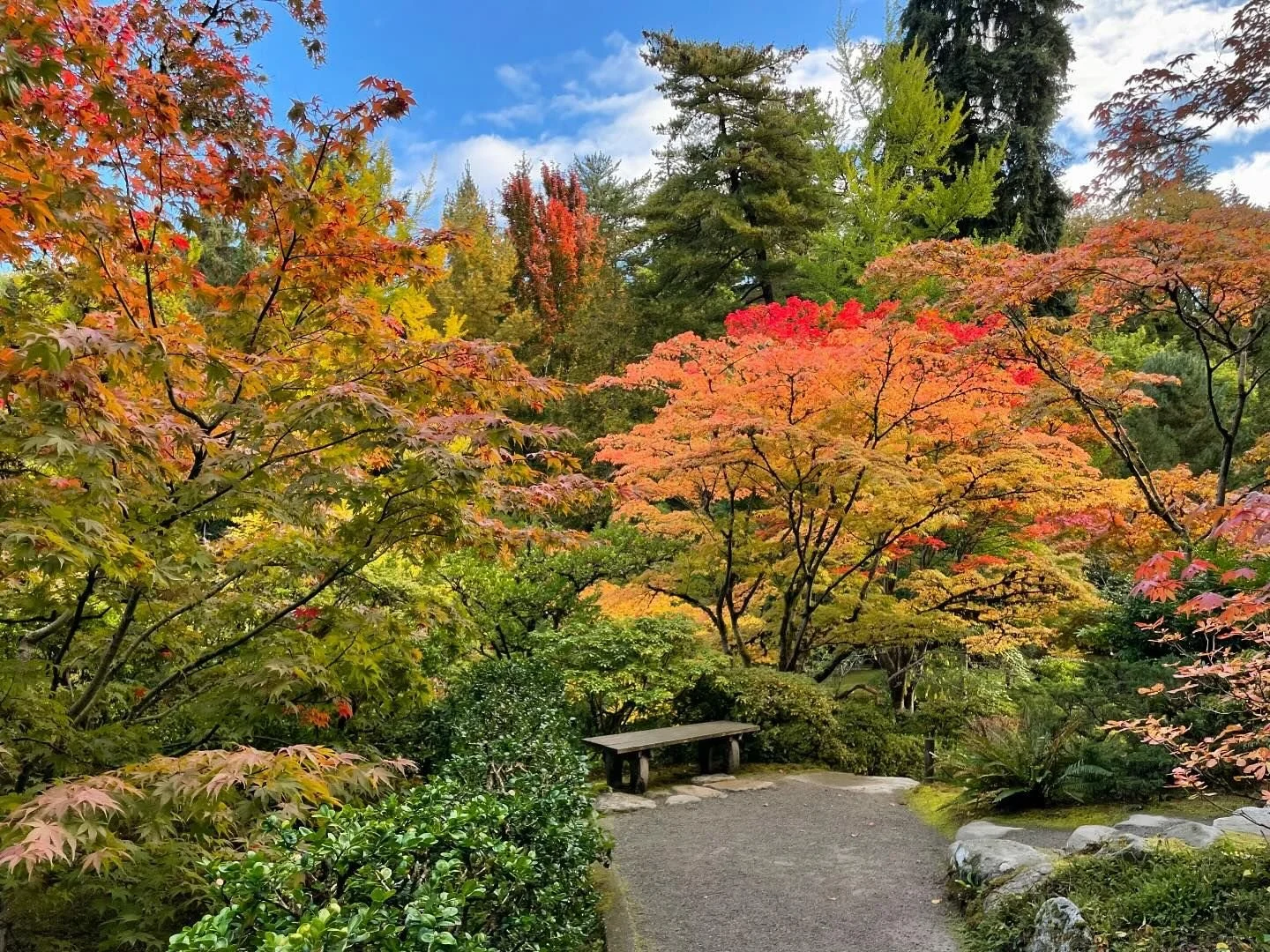 10/11 – Family Saturday: Traditional Japanese Toys