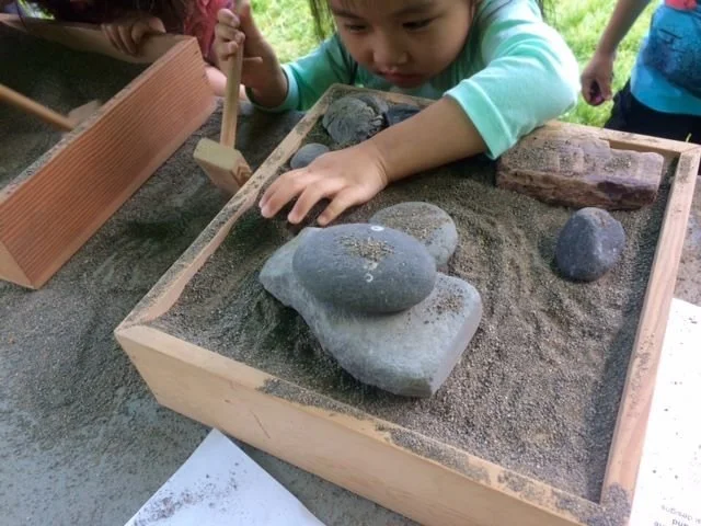 6/13 - Family Saturday: Dry Gardens for All Ages
