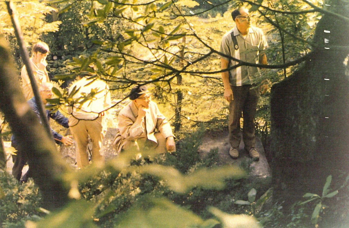 Design and Maintenance in the Seattle Japanese Garden—Part Two: The Legacy of Richard Iwao Yamasaki