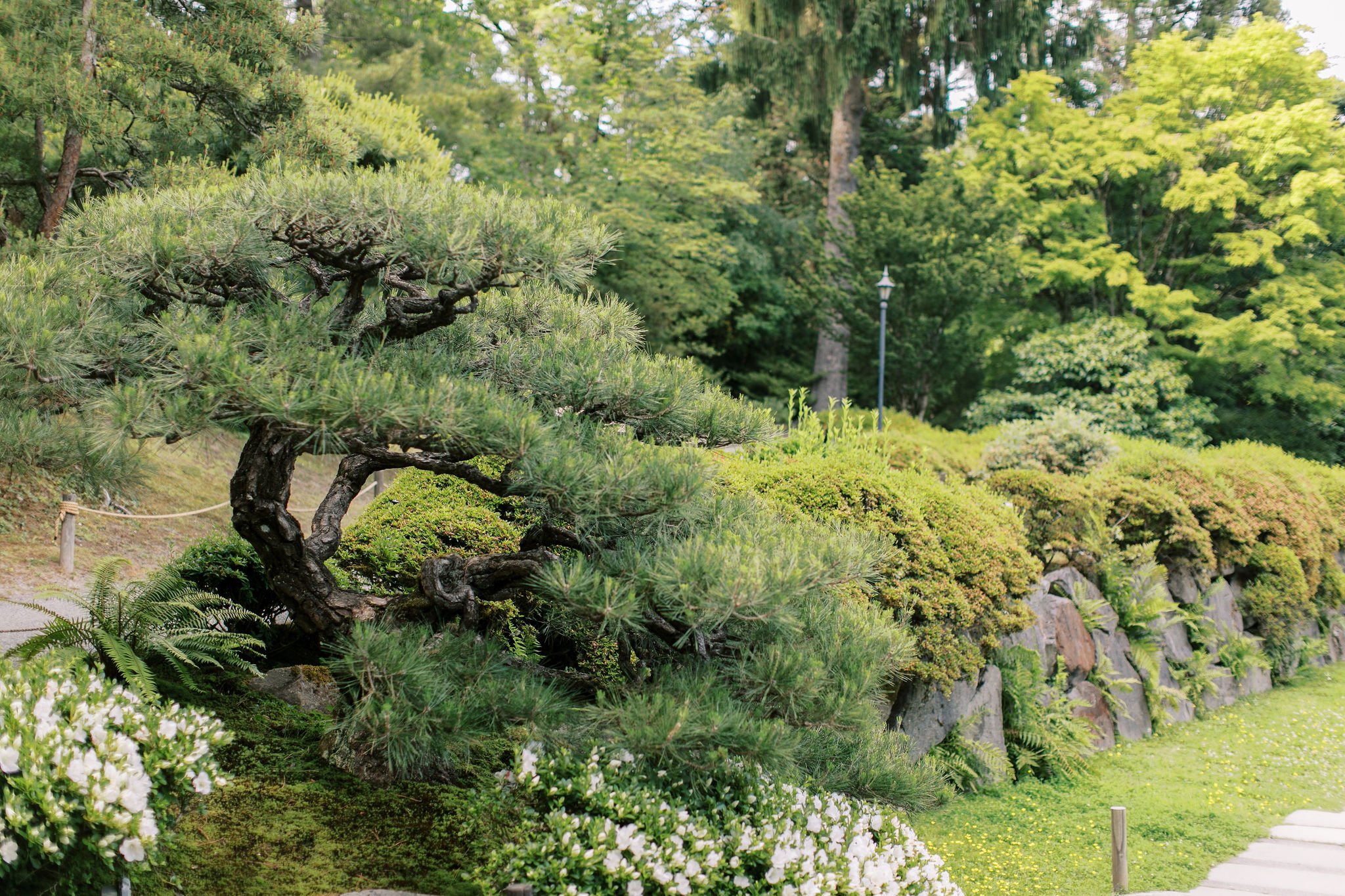 Garden Reopening 