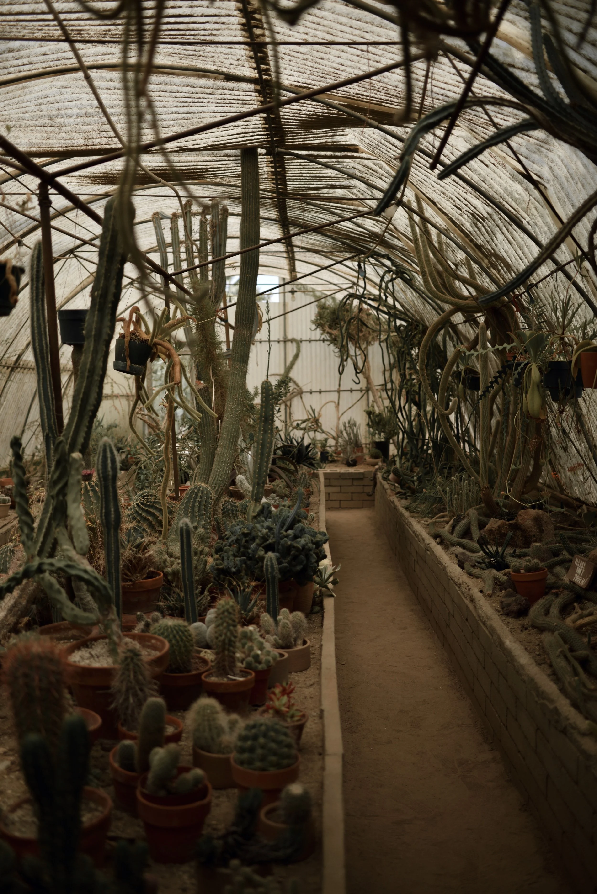 The-Look-Principle-Coachella-Looks-And-Tips-Moortens_Botanical_Garden.jpg