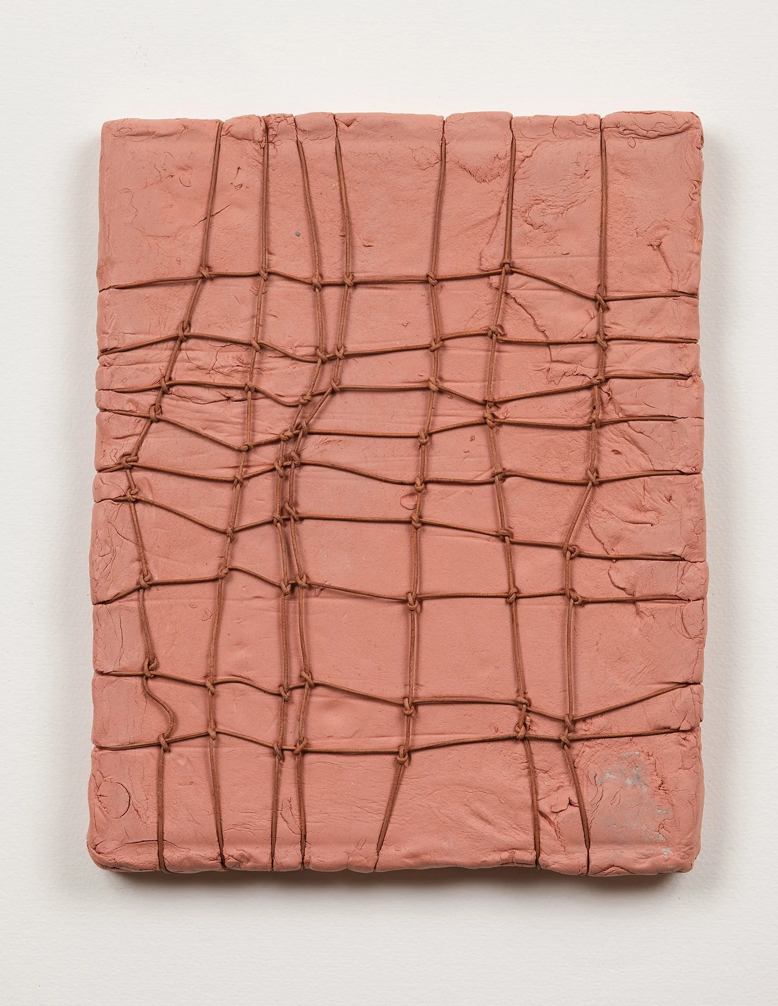 SarahDelaney_LandParcels_2016_Clay_10x8_16.jpg