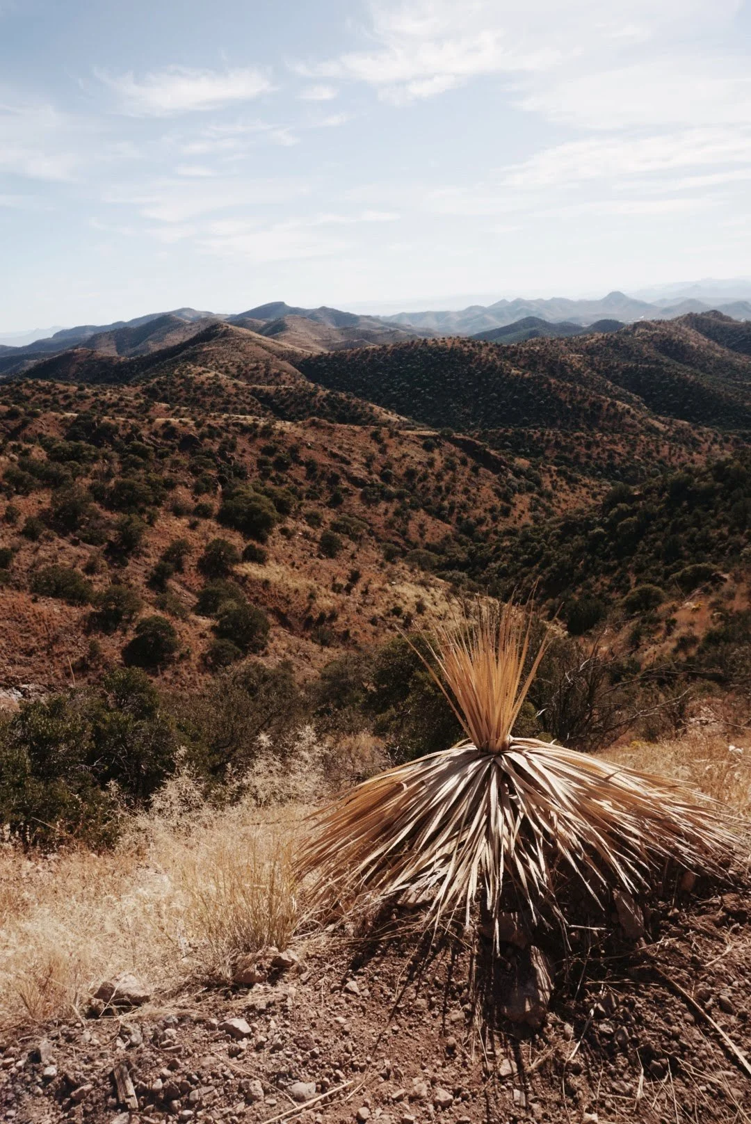 Snapseed_Original 3.jpg