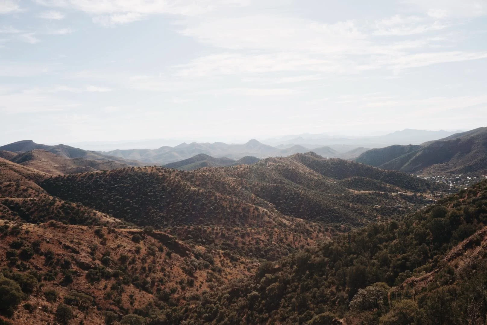 Snapseed_Original 2 copy.jpg