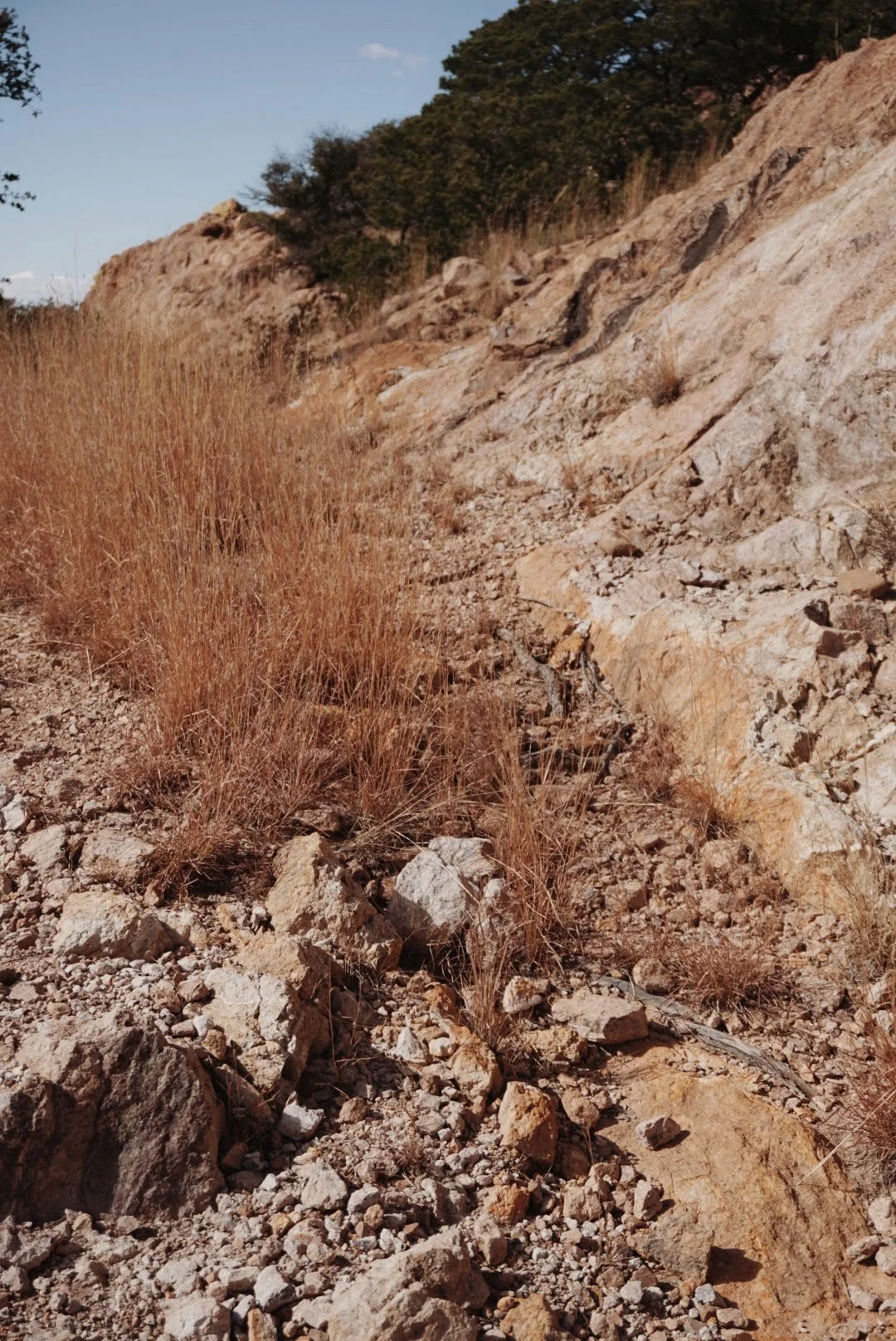 Snapseed_Original 6.jpg