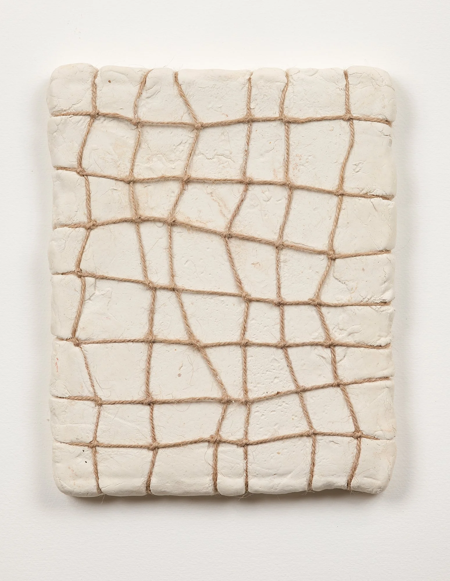 SarahDelaney_LandParcels_2016_Clay_10x8_17.jpg