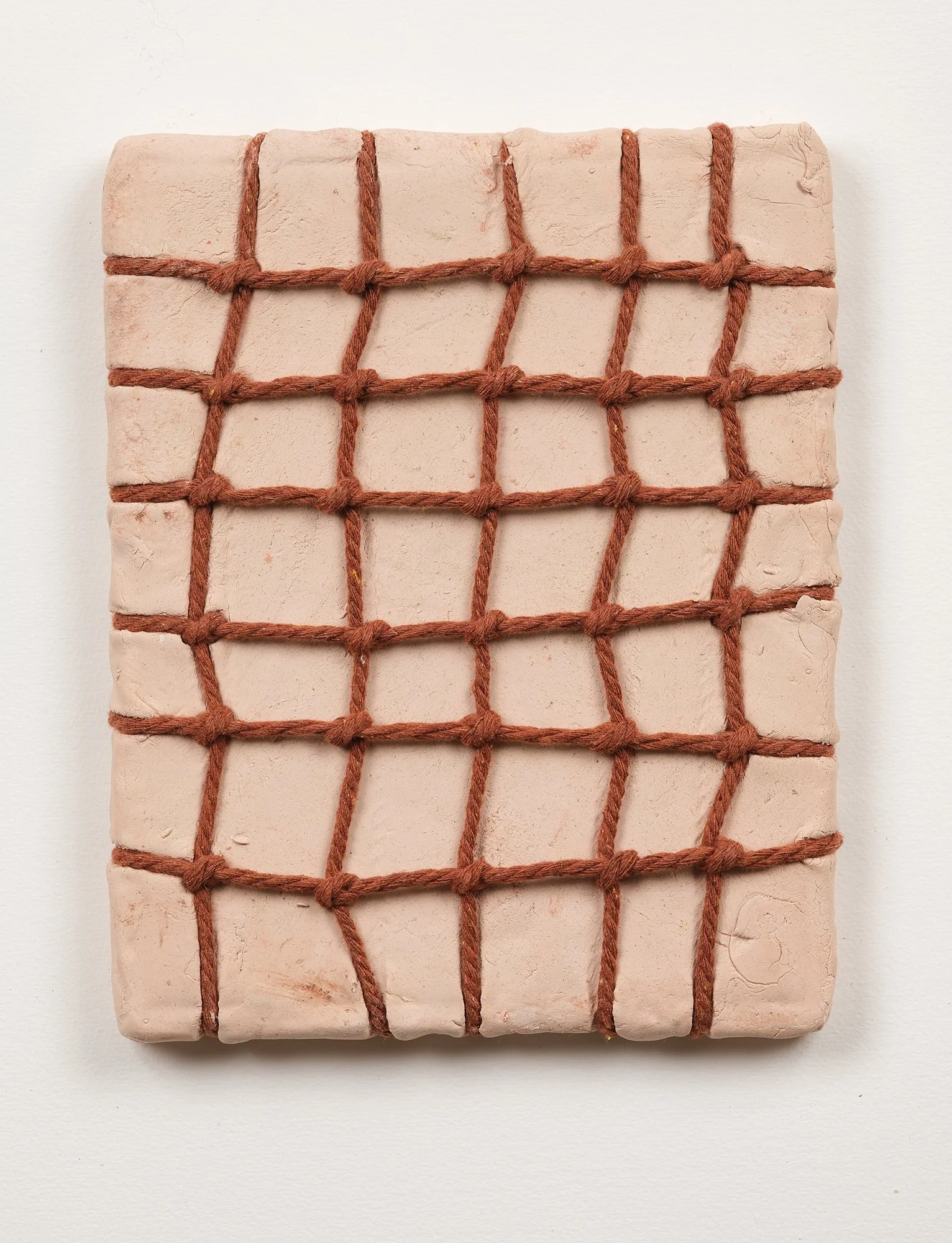 SarahDelaney_LandParcels_2016_Clay_10x8_6.jpg