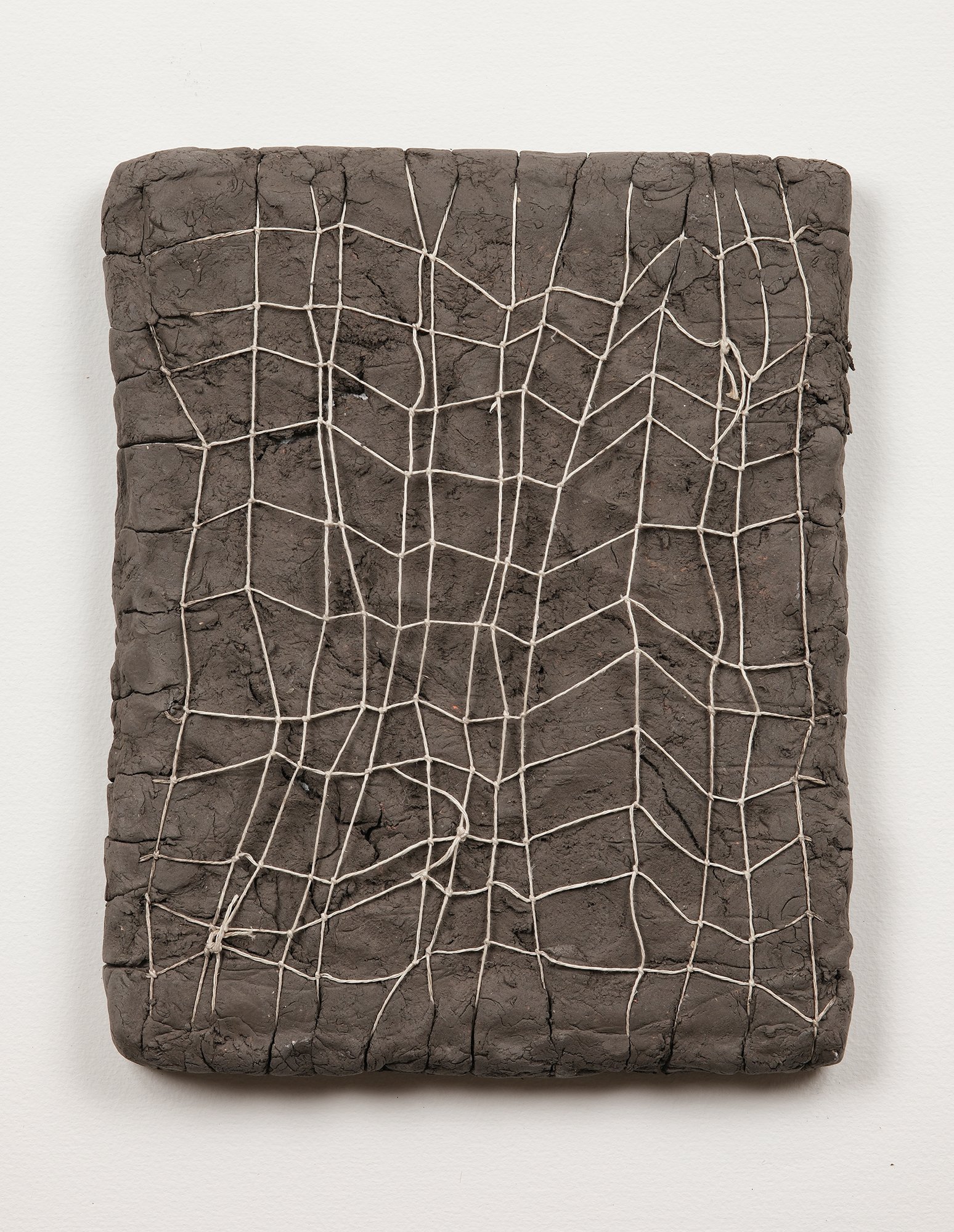 SarahDelaney_LandParcels_2016_Clay_10x8_14.jpg