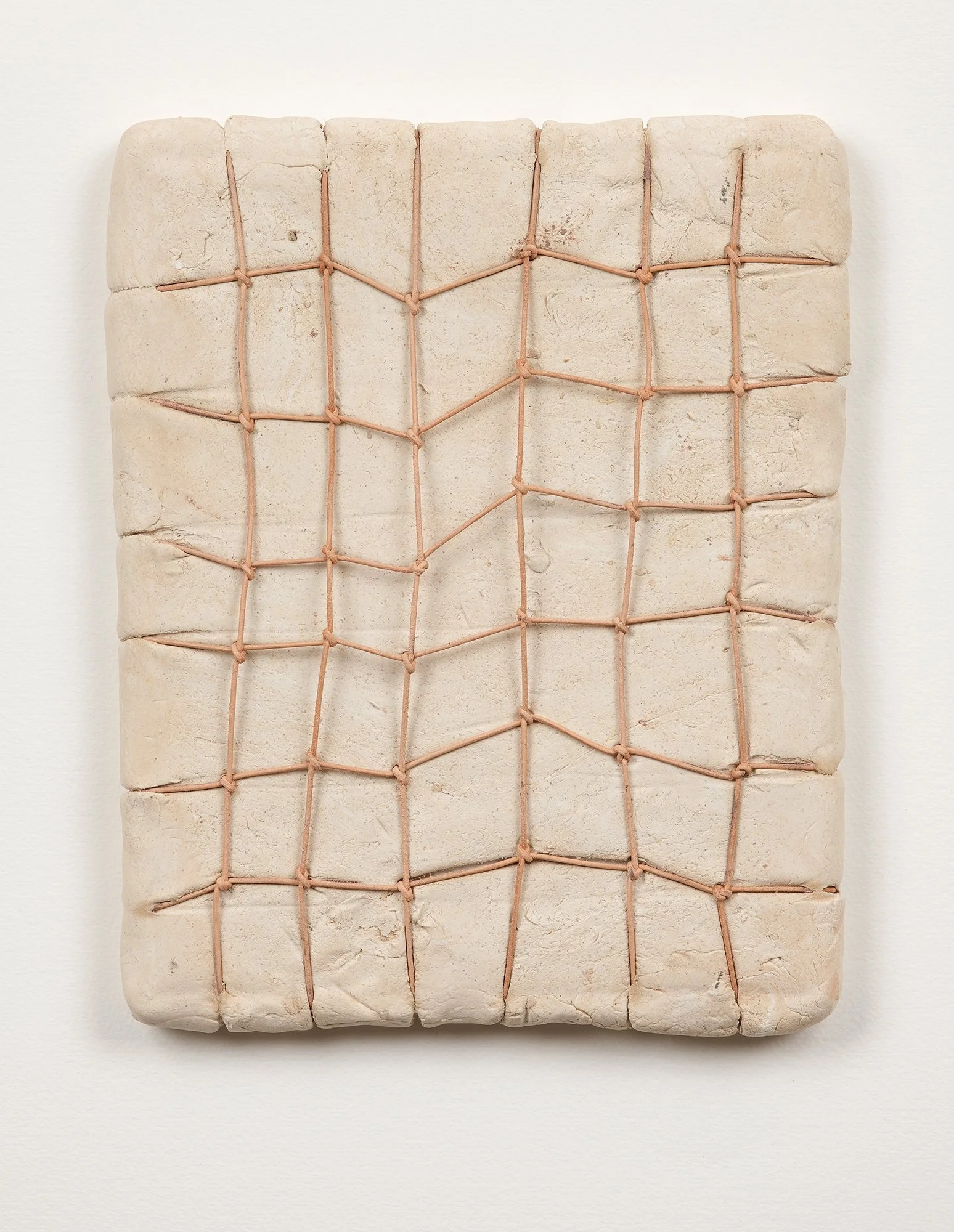SarahDelaney_LandParcels_2016_Clay_10x8_2.jpg
