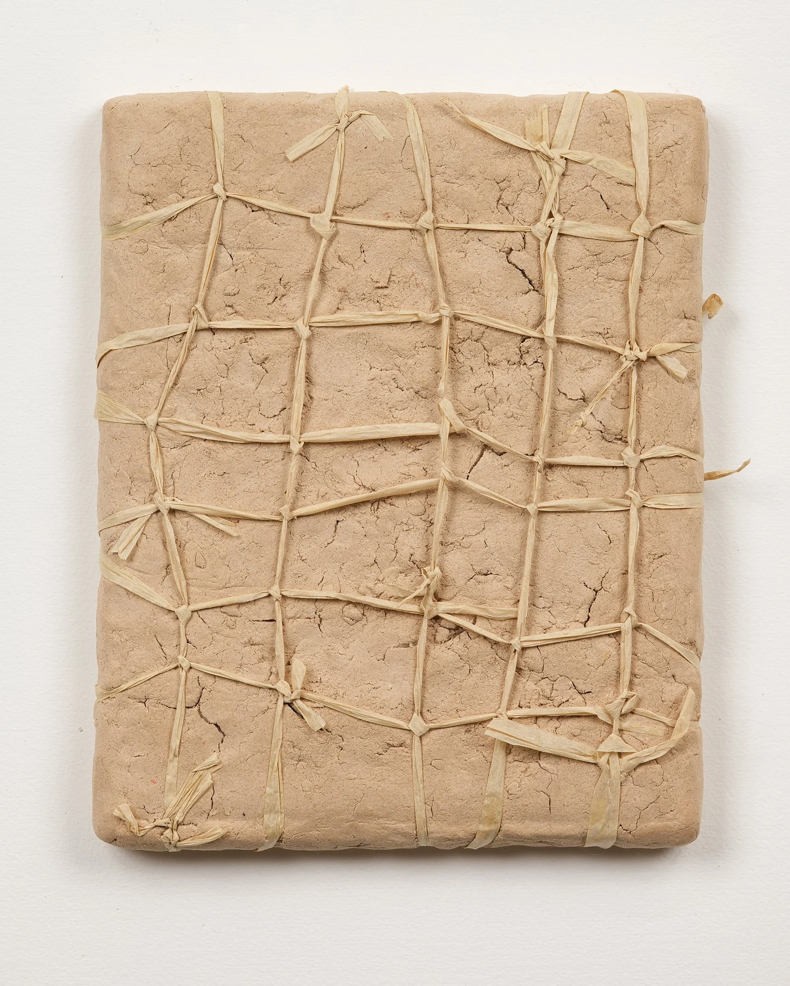 SarahDelaney_LandParcels_2016_Clay_10x8_5.jpg