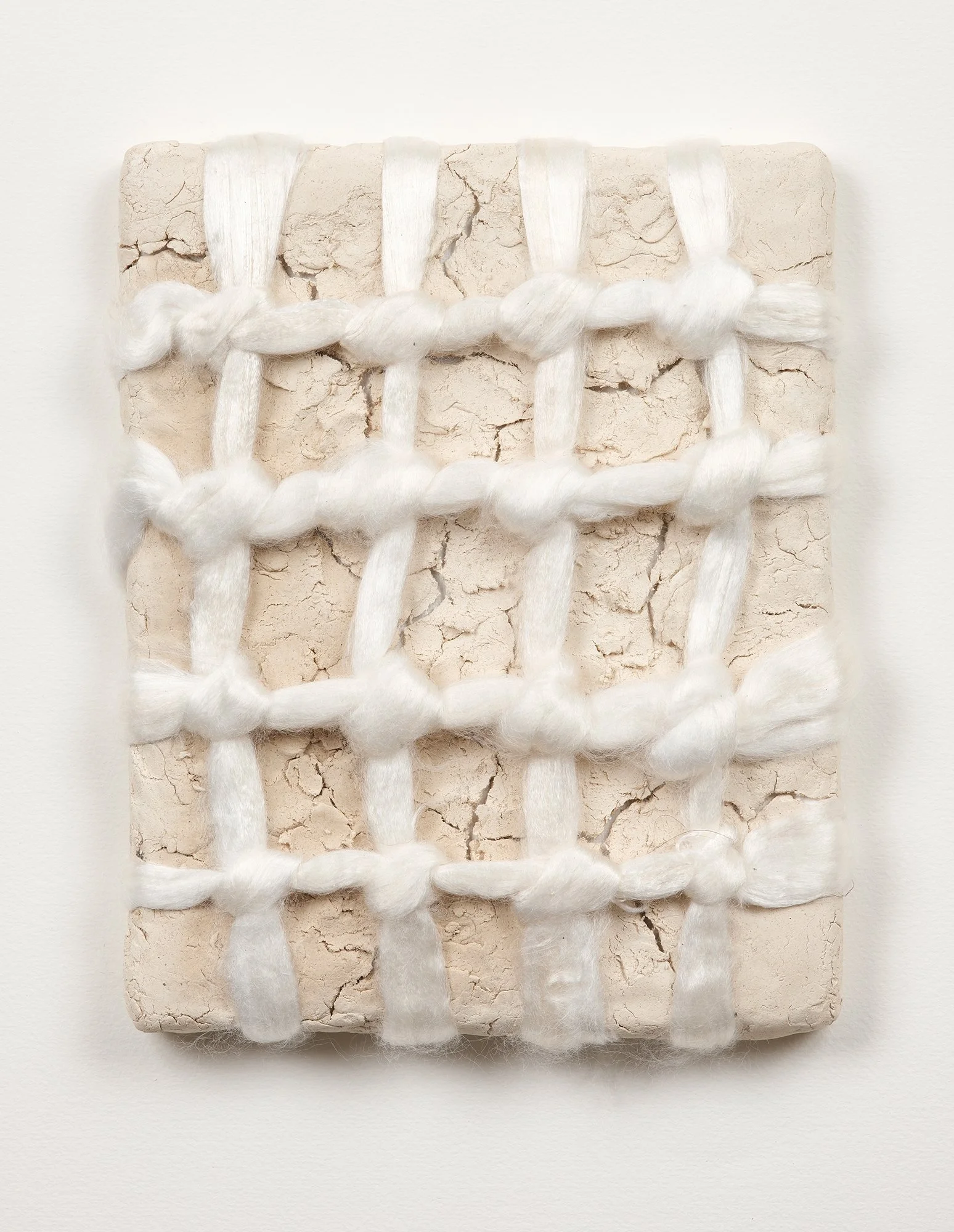 SarahDelaney_LandParcels_2016_Clay_10x8_18.jpg