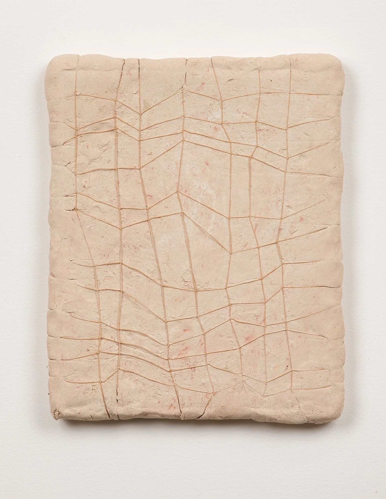 SarahDelaney_LandParcels_2016_Clay_10x8_7.jpg