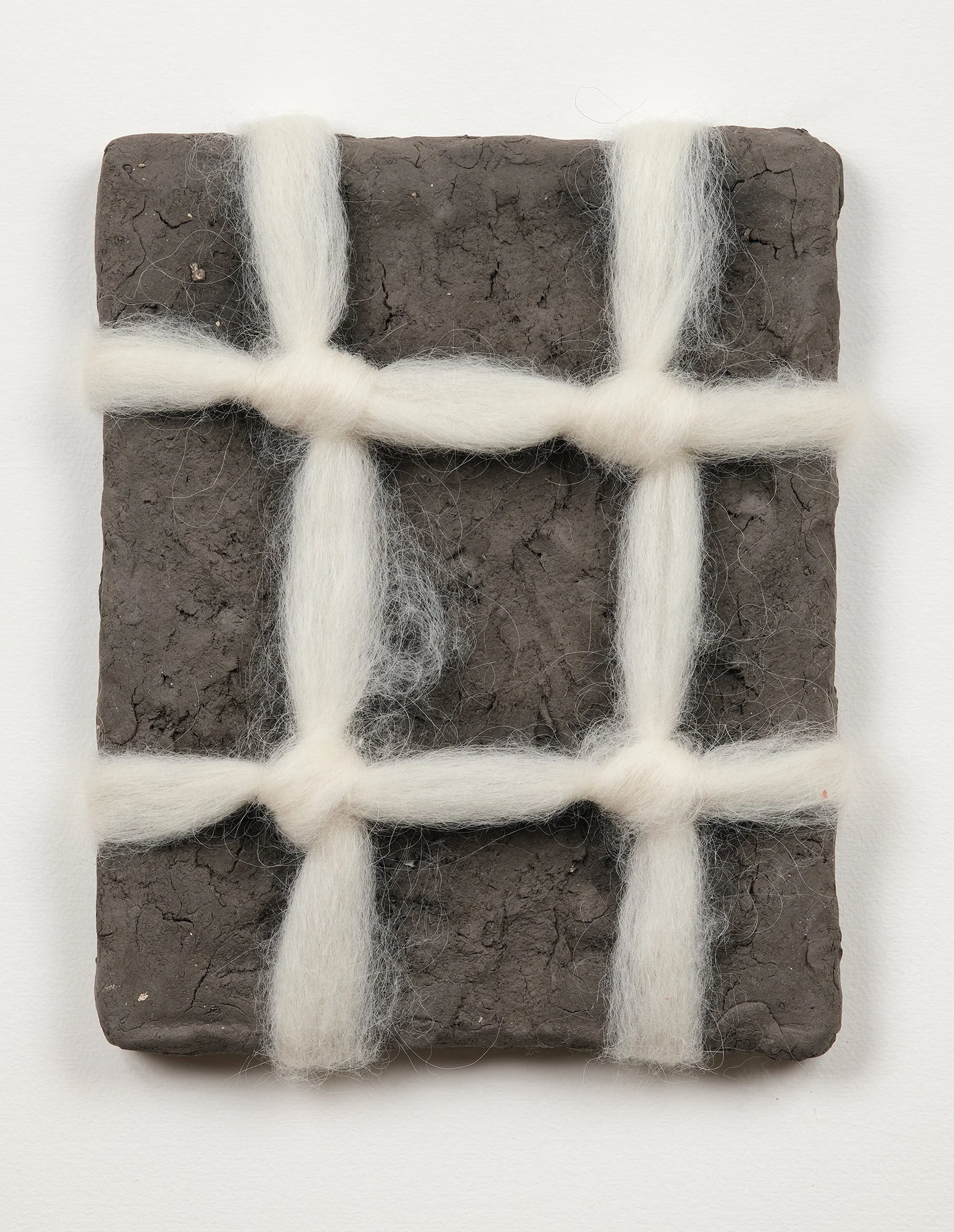 SarahDelaney_LandParcels_2016_Clay_10x8_15.jpg