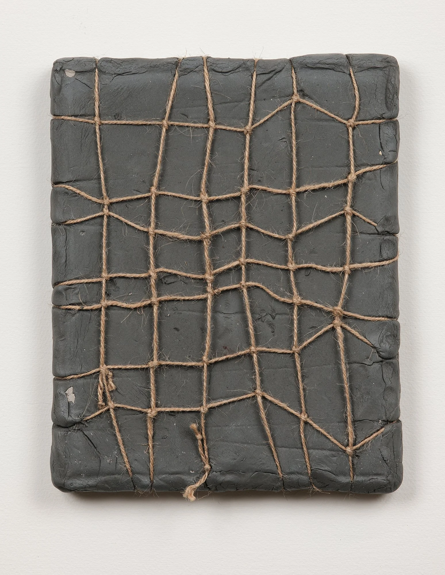 SarahDelaney_LandParcels_2016_Clay_10x8_3.jpg