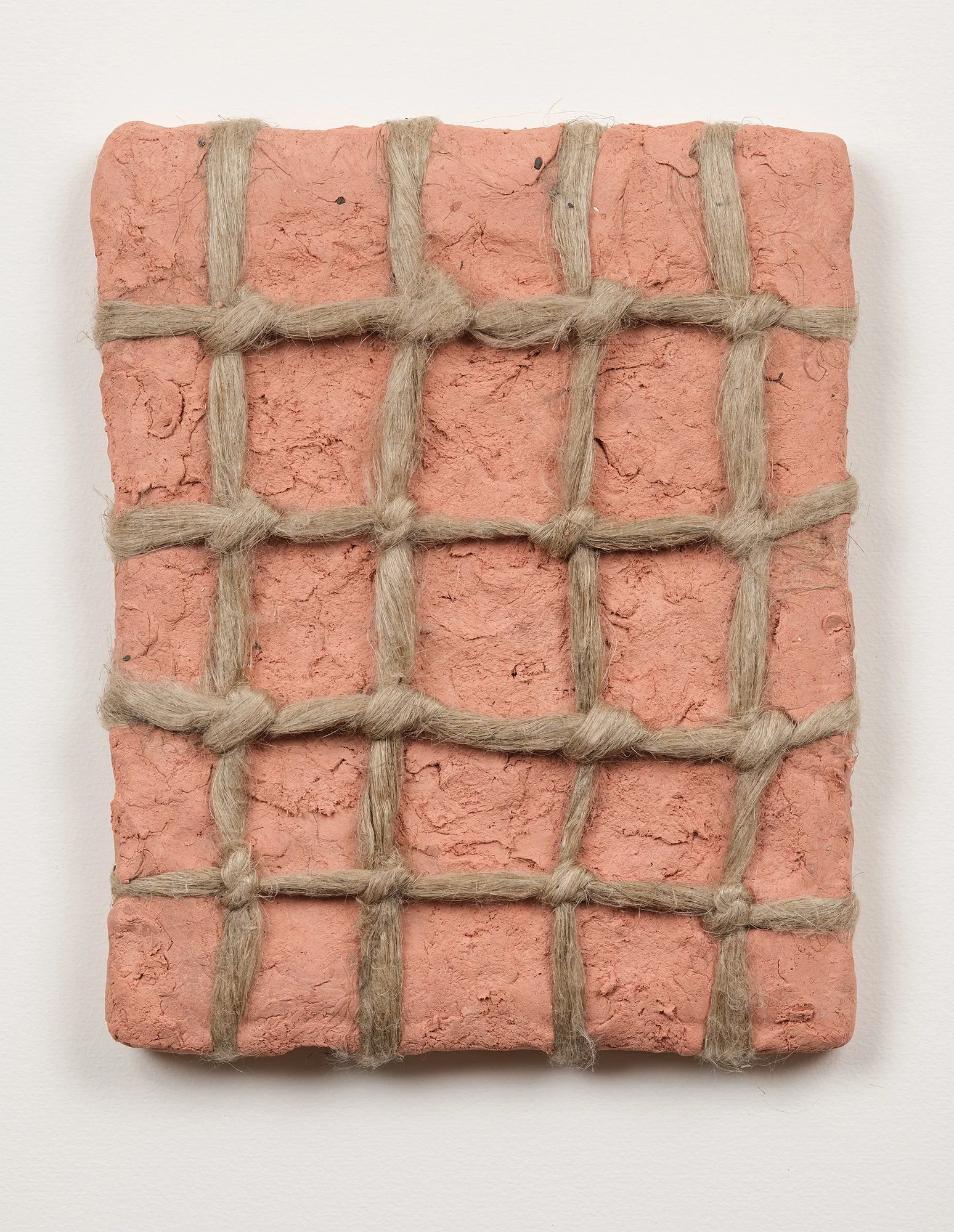 SarahDelaney_LandParcels_2016_Clay_10x8_13.jpg