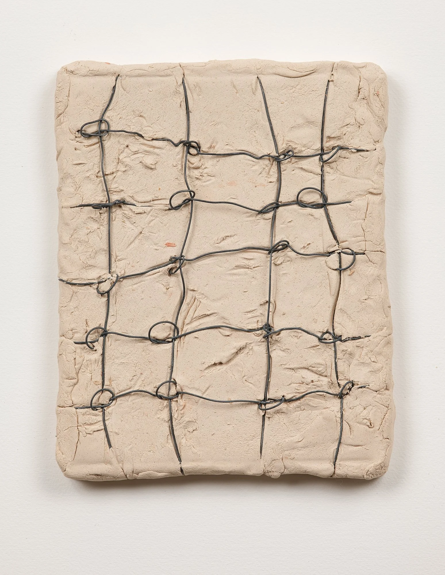SarahDelaney_LandParcels_2016_Clay_10x8_9.jpg