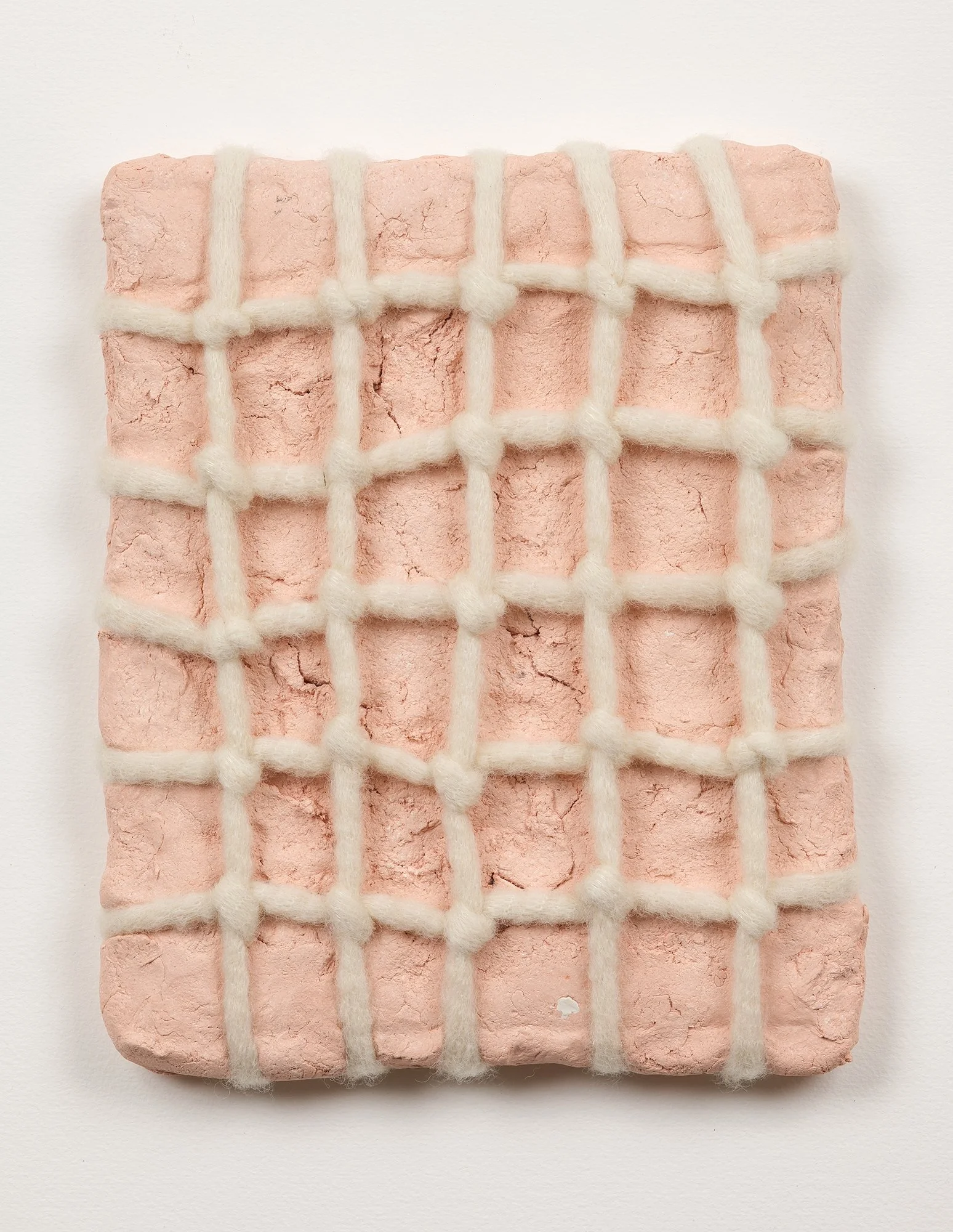 SarahDelaney_LandParcels_2016_Clay_10x8_4.jpg