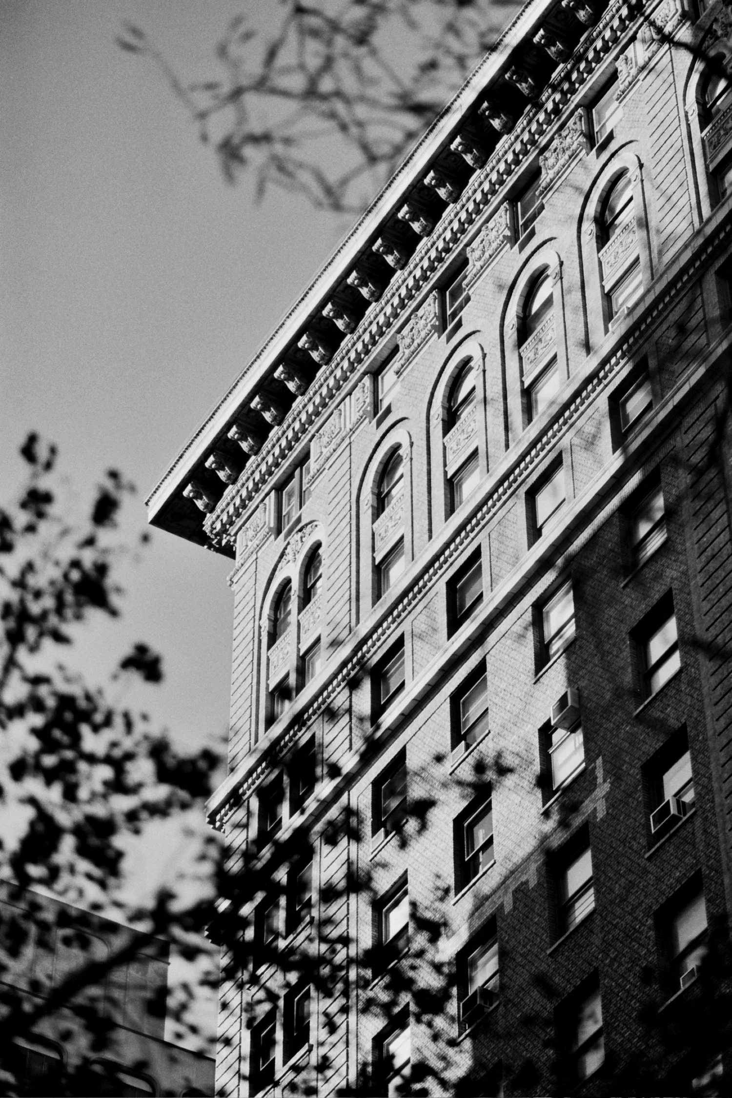 9045-08 copy.jpg