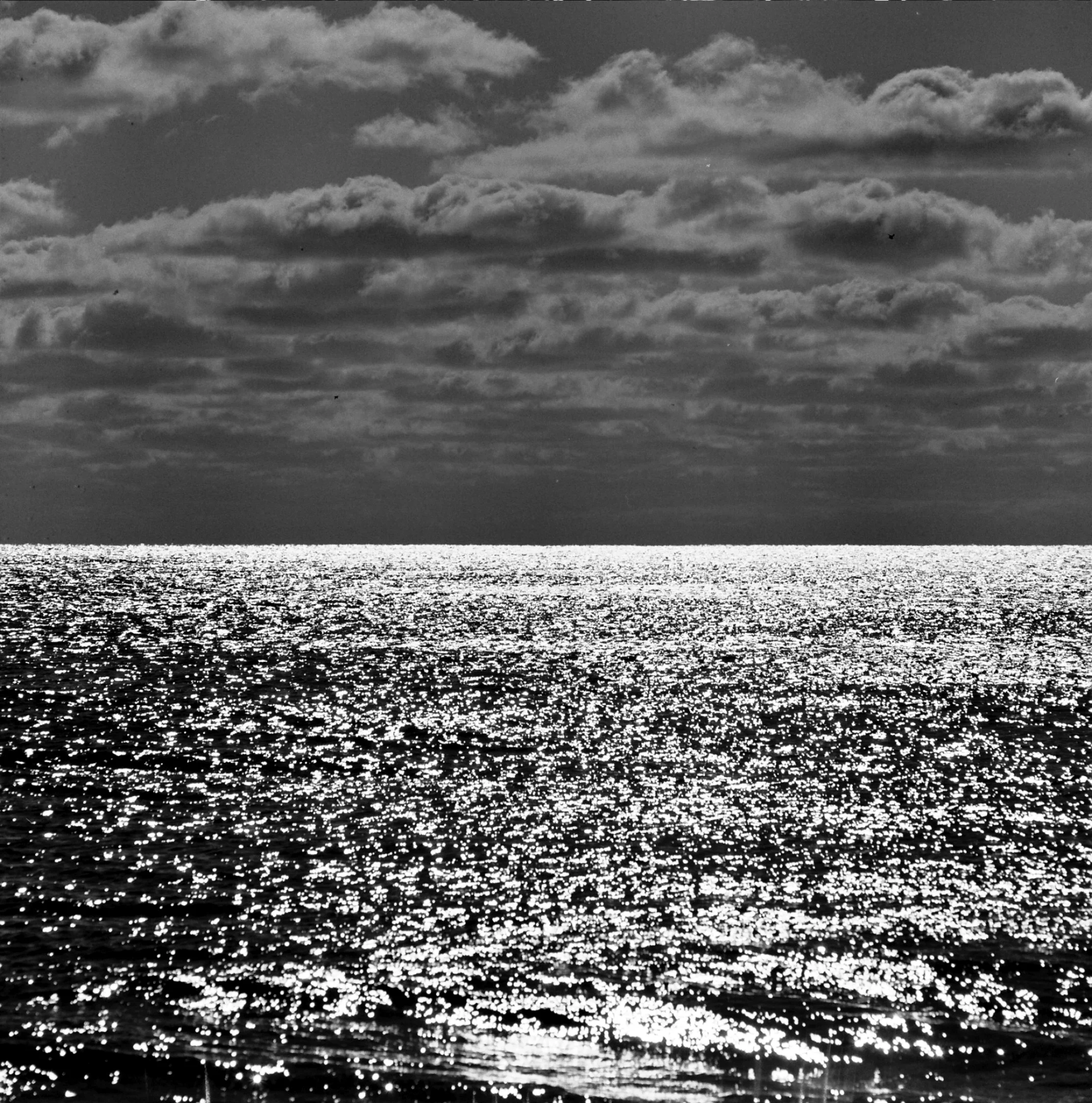 MTK_FALL_2014-6451-11 copy.jpg