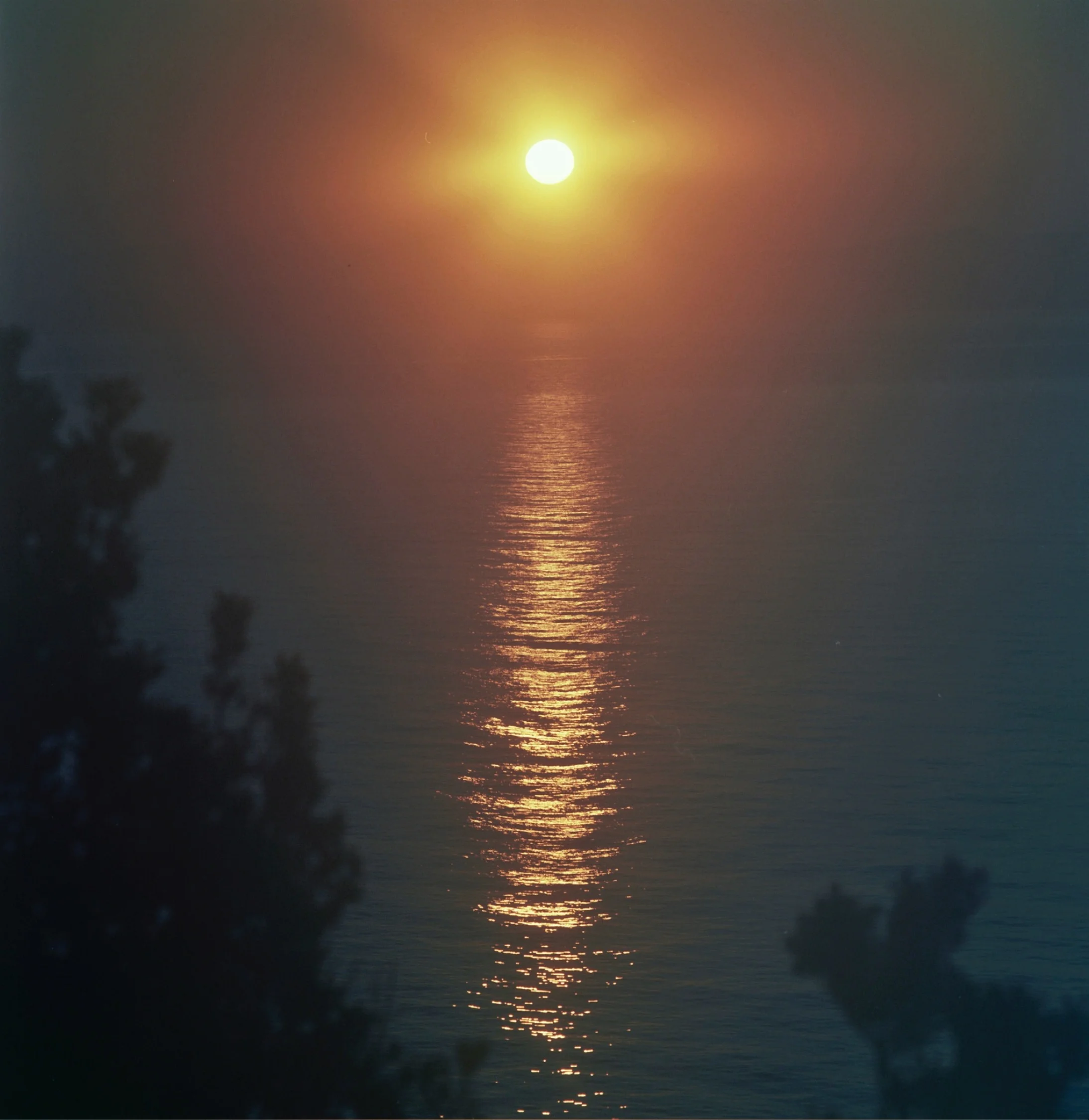 5041-01.jpg