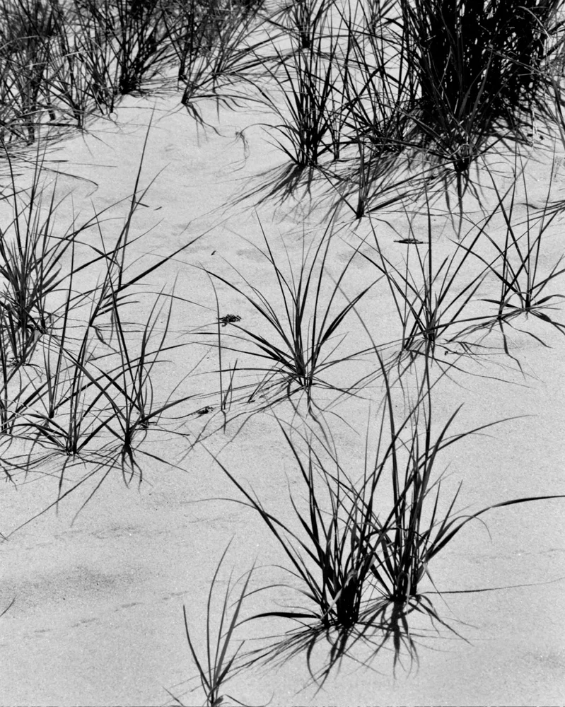 0538-02 copy 2.jpg