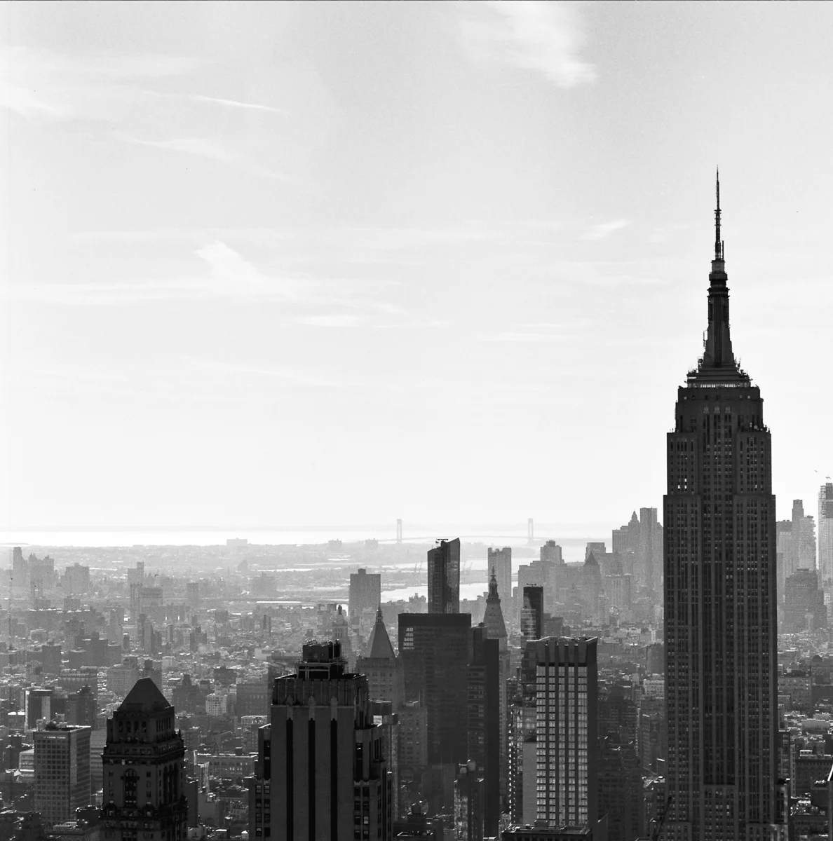 2037-05 copy 2.jpg